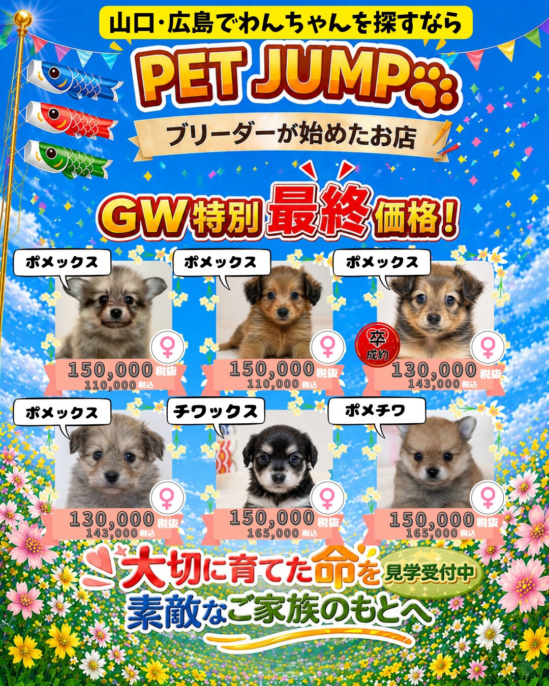 PET JUMPです🐶🎏✨