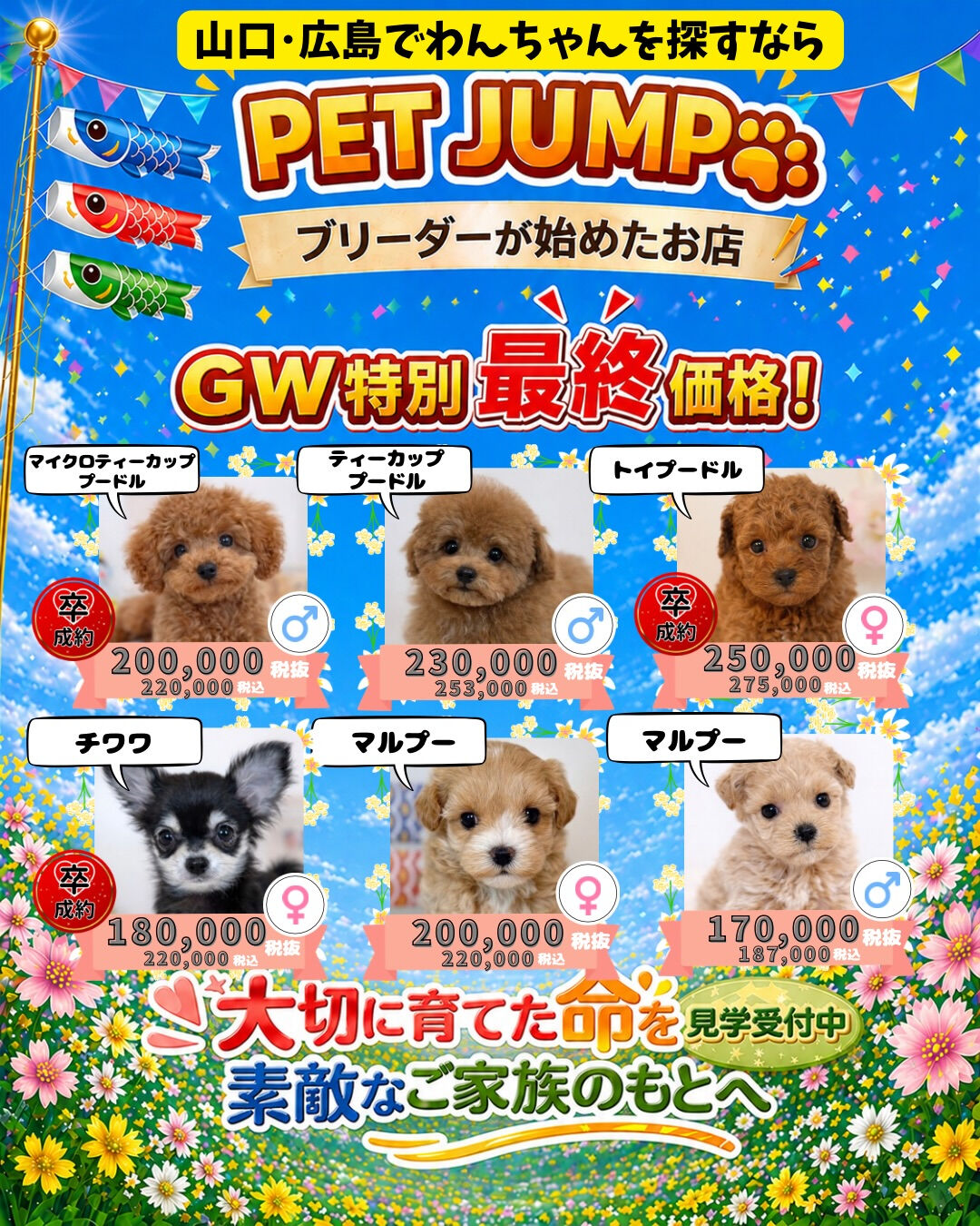PET JUMPです🐶🎏✨