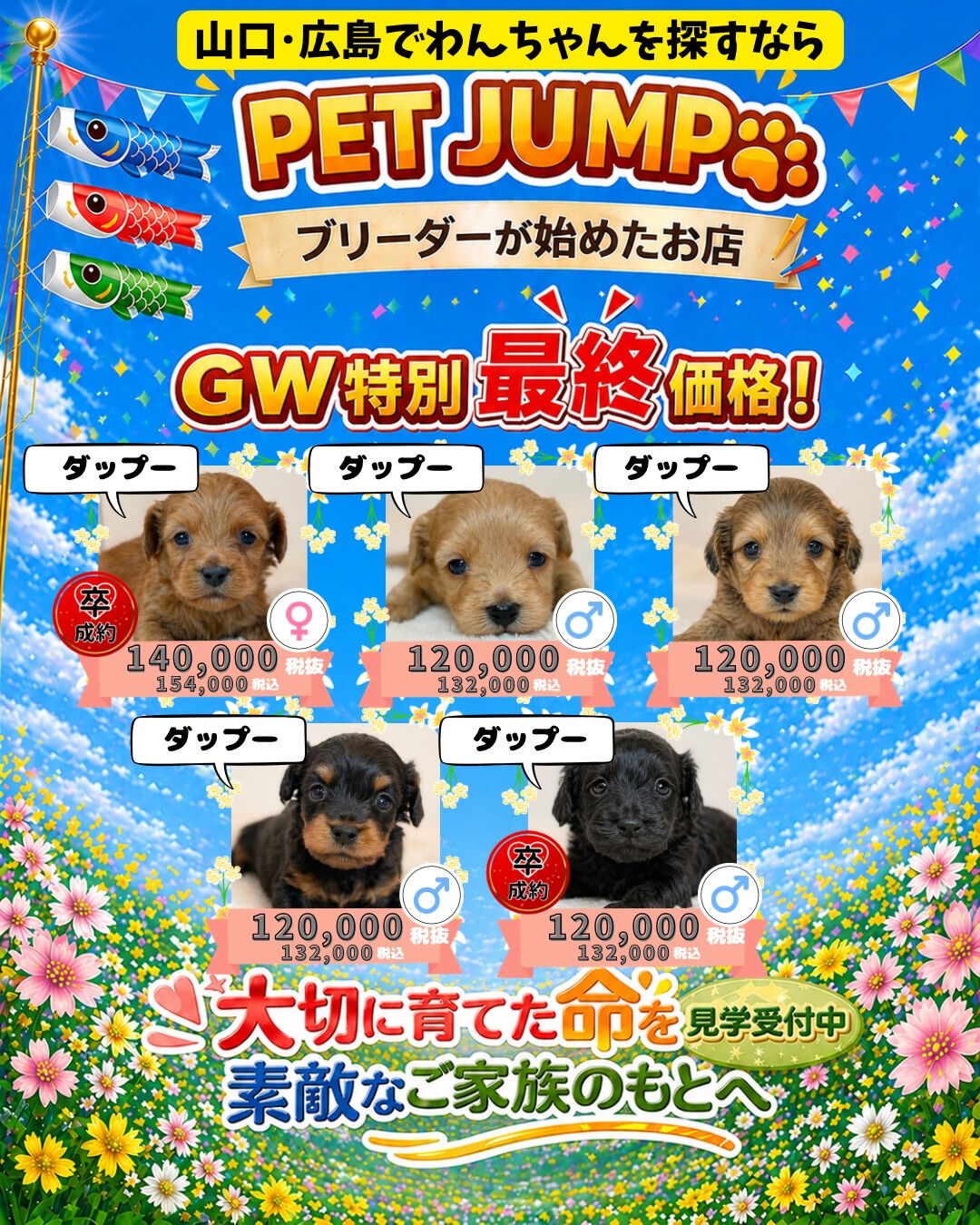 PET JUMPです🐶🎏✨