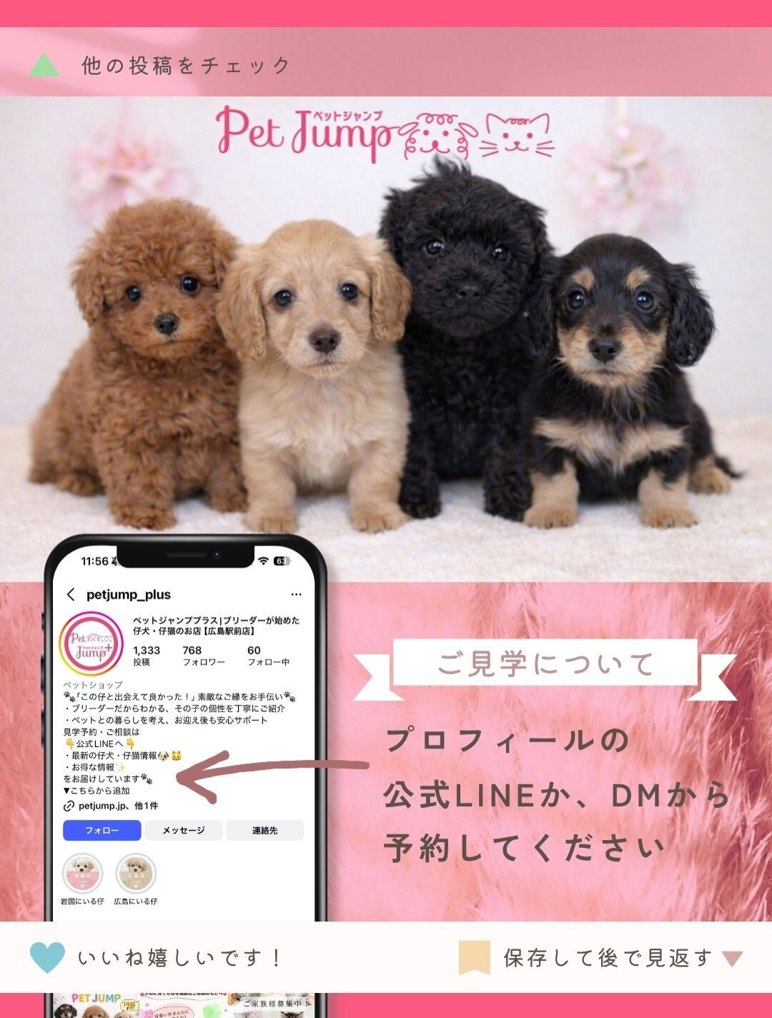 PET JUMPです🐶🩷