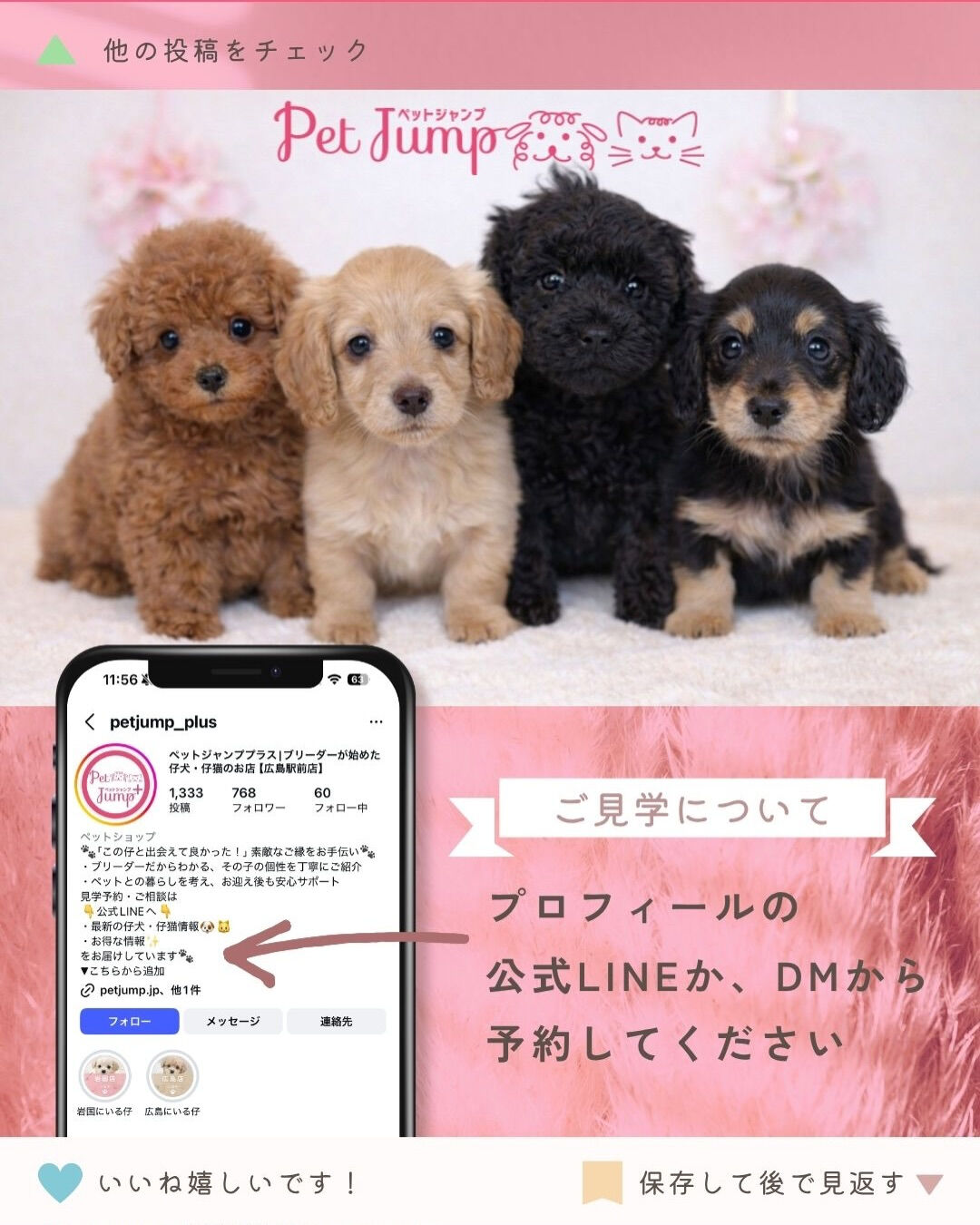 PET JUMPです🐶🩷