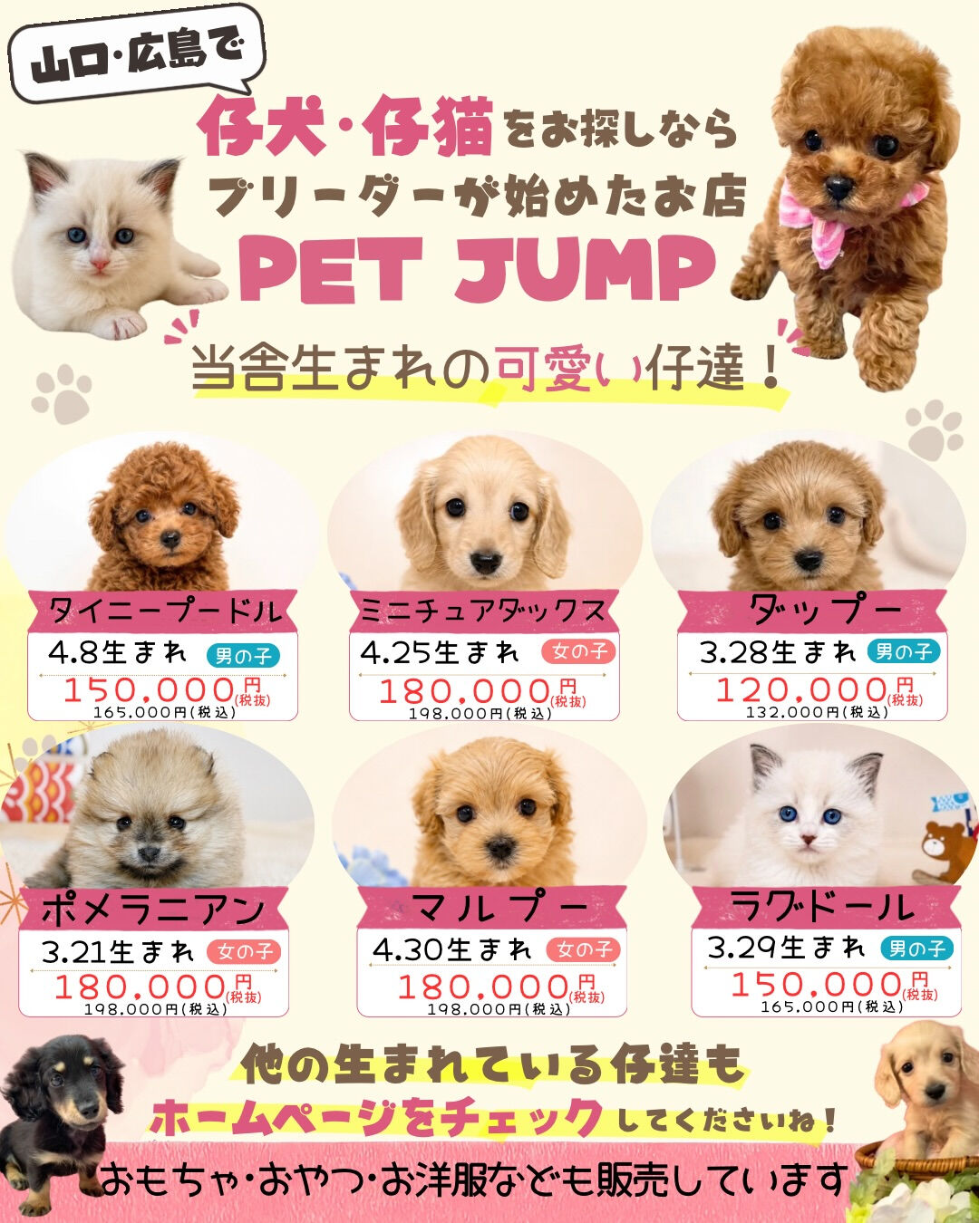 🐶🐱 PET JUMPです✨