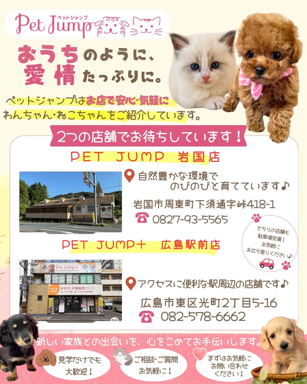 🐶🐱 PET JUMPです✨