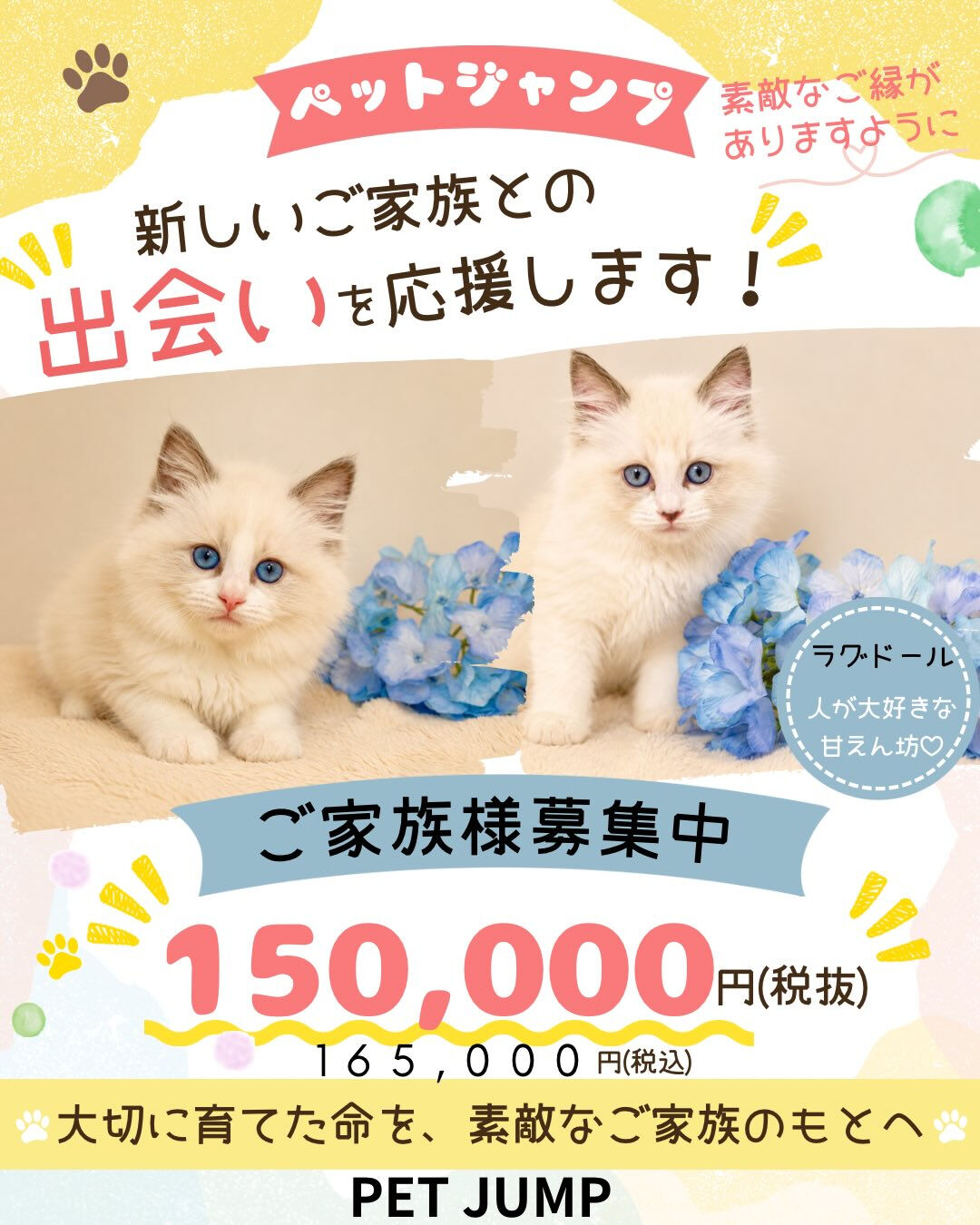 🌟山口・広島で仔犬・仔猫をお探しなら🌟