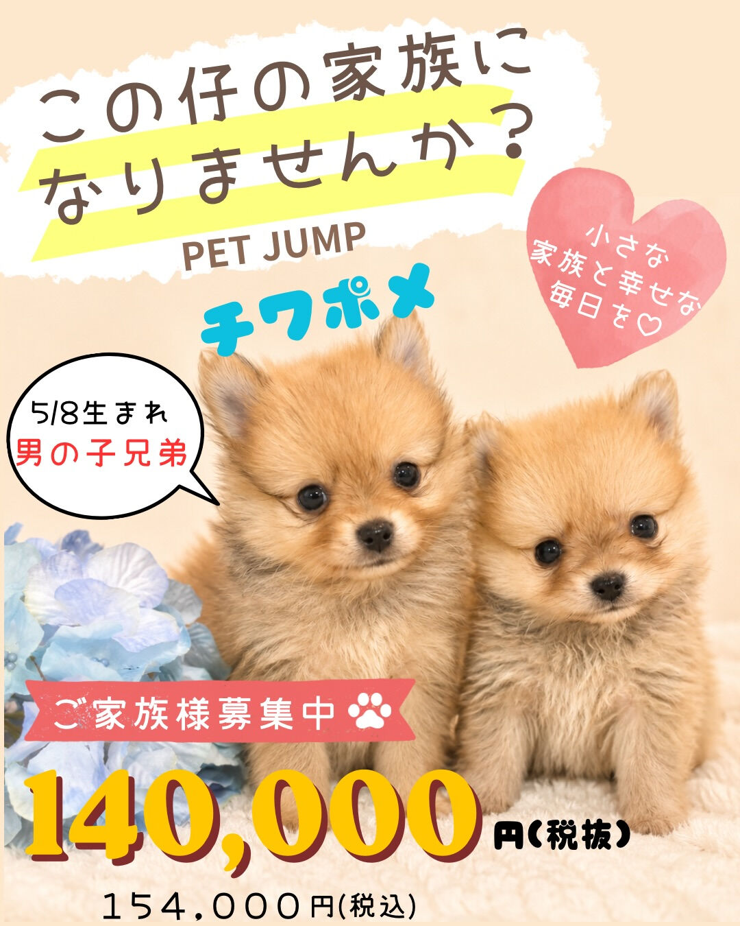 🐾✨PET JUMPです✨🐾