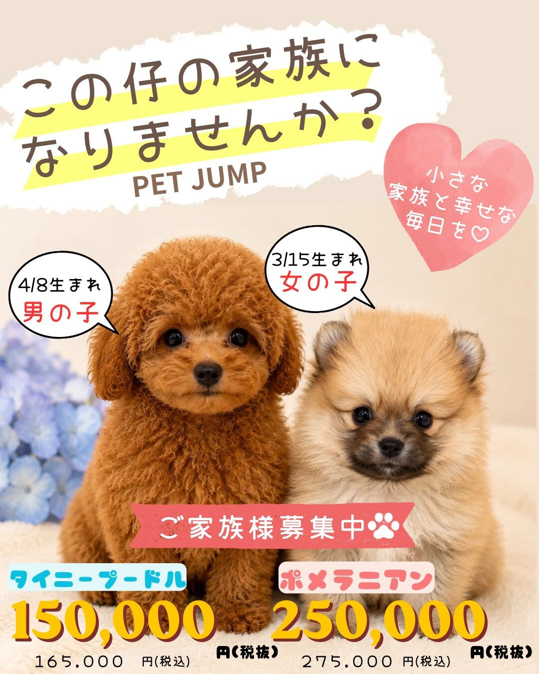 🐾✨PET JUMPです✨🐾