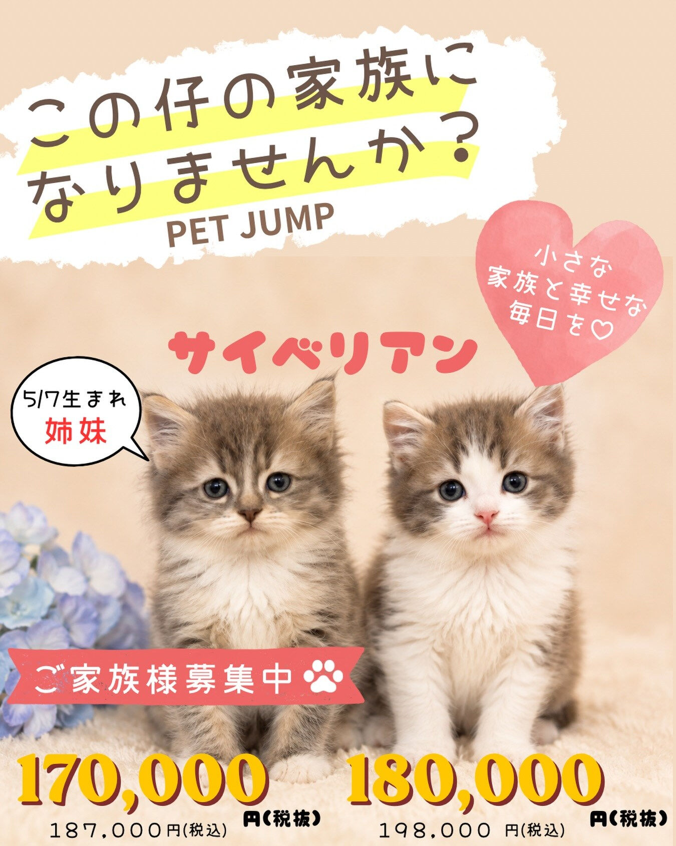 🐾✨PET JUMPです✨🐾