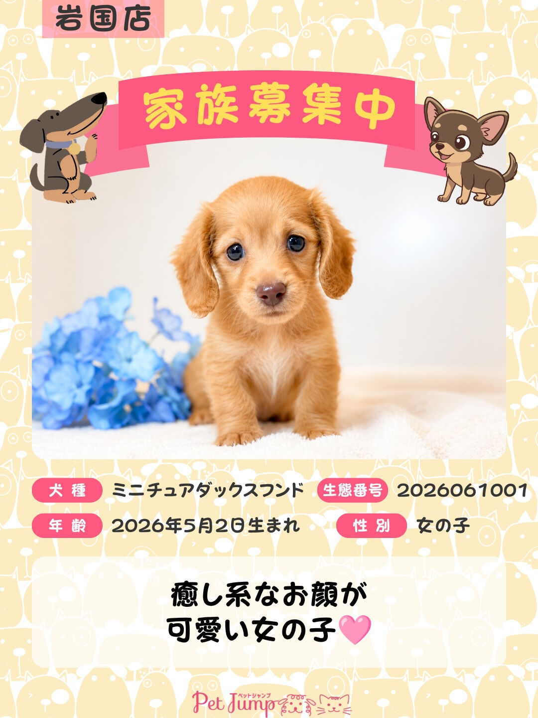 🐶💗 家族募集中 💗🐶