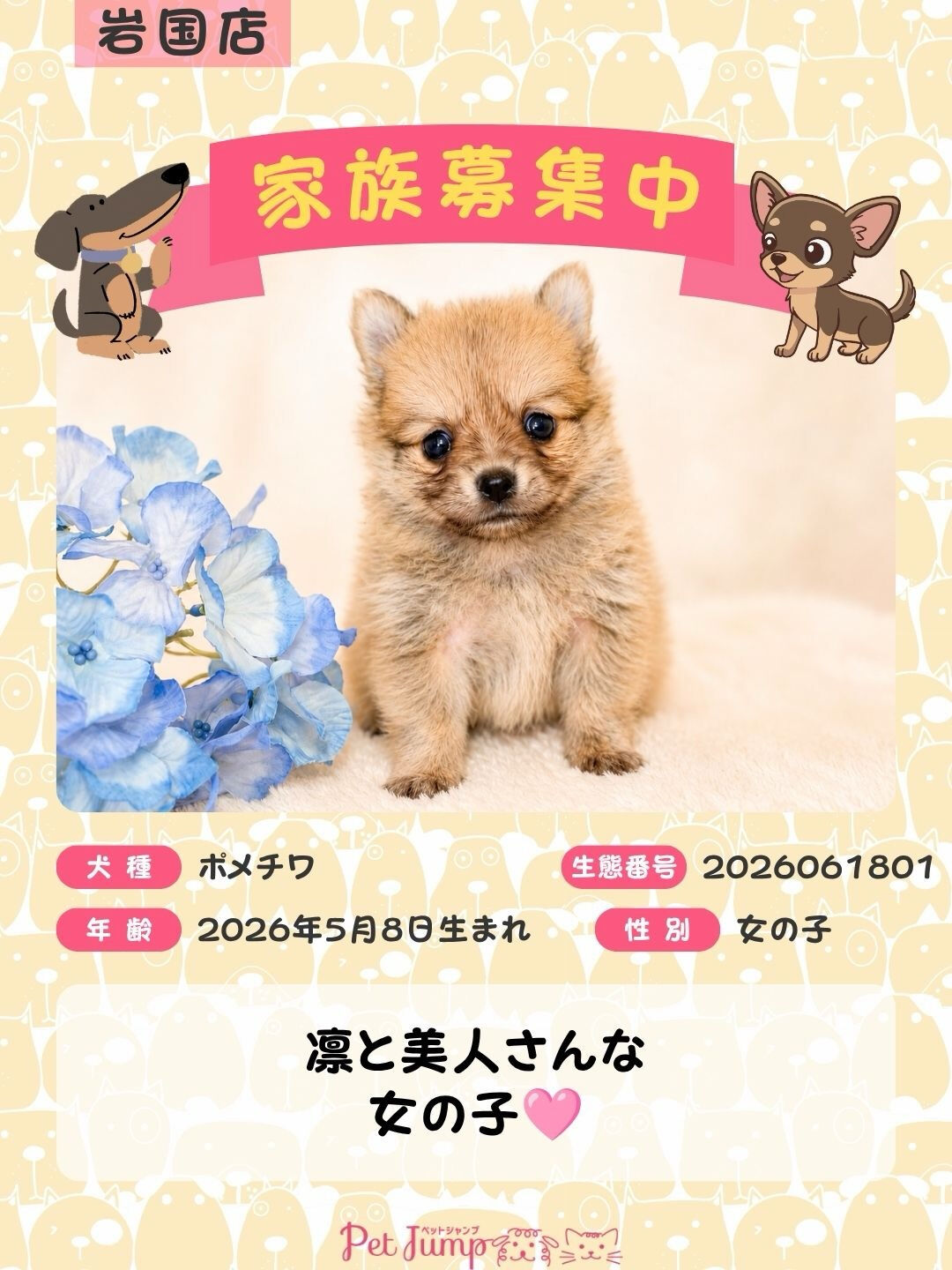 🐶💗 家族募集中 💗🐶