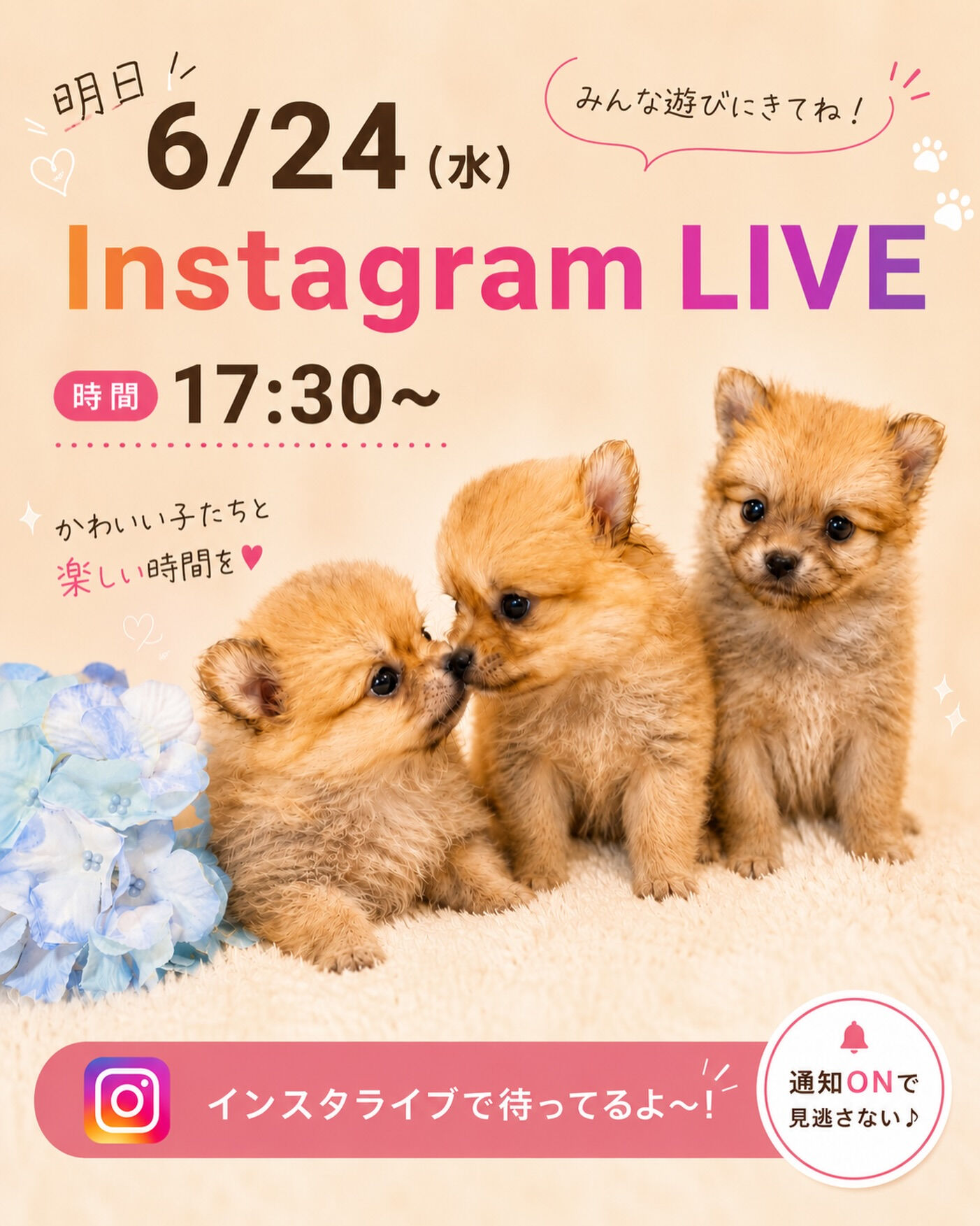 PET JUMPです🐶🩷
