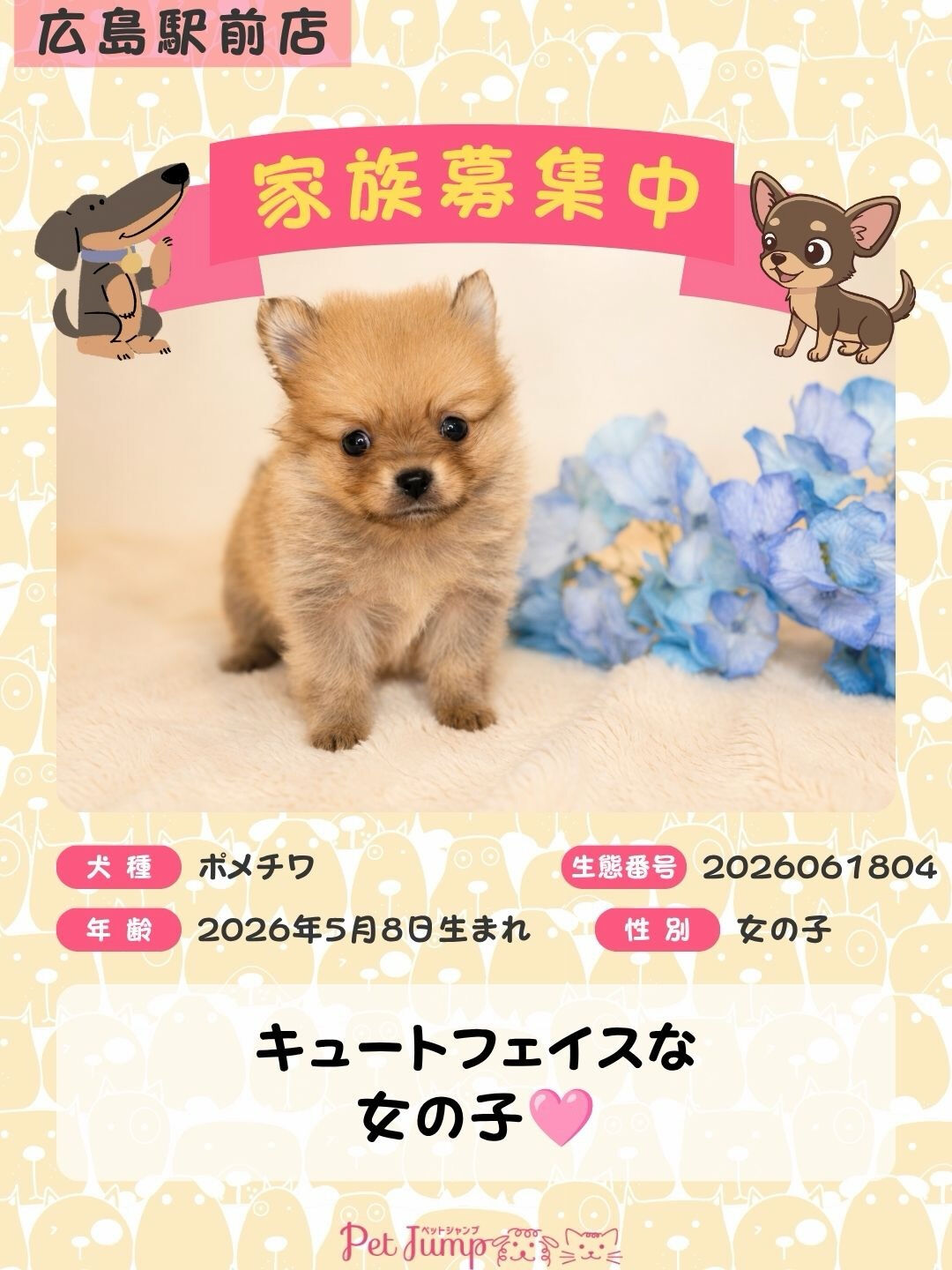 🐶💗 家族募集中 💗🐶