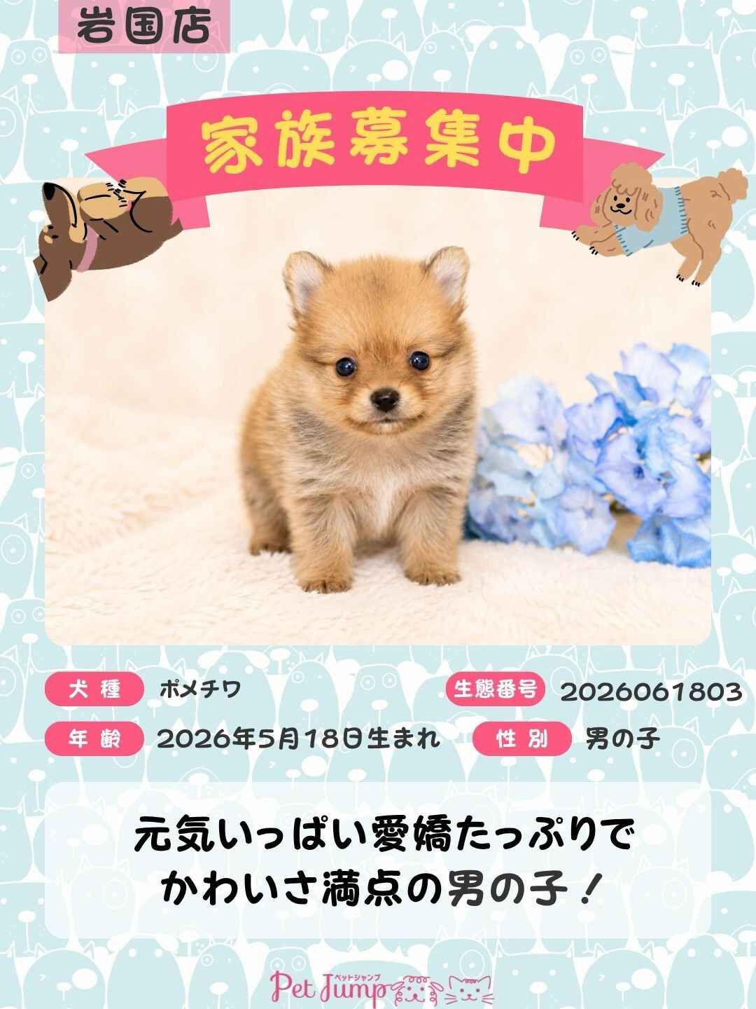 🐶💗 家族募集中 💗🐶