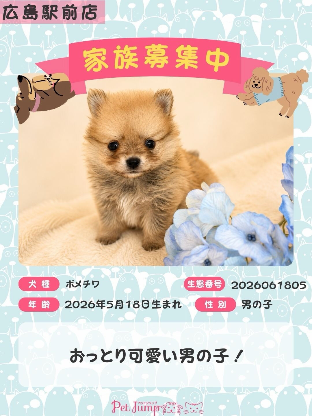 🐶💗 家族募集中 💗🐶
