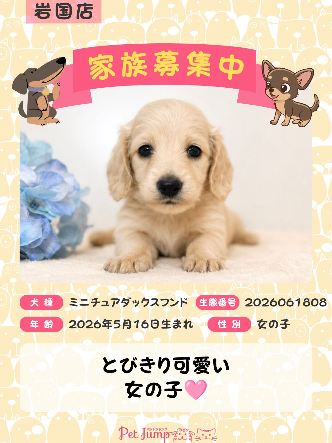 🐶💗 家族募集中 💗🐶