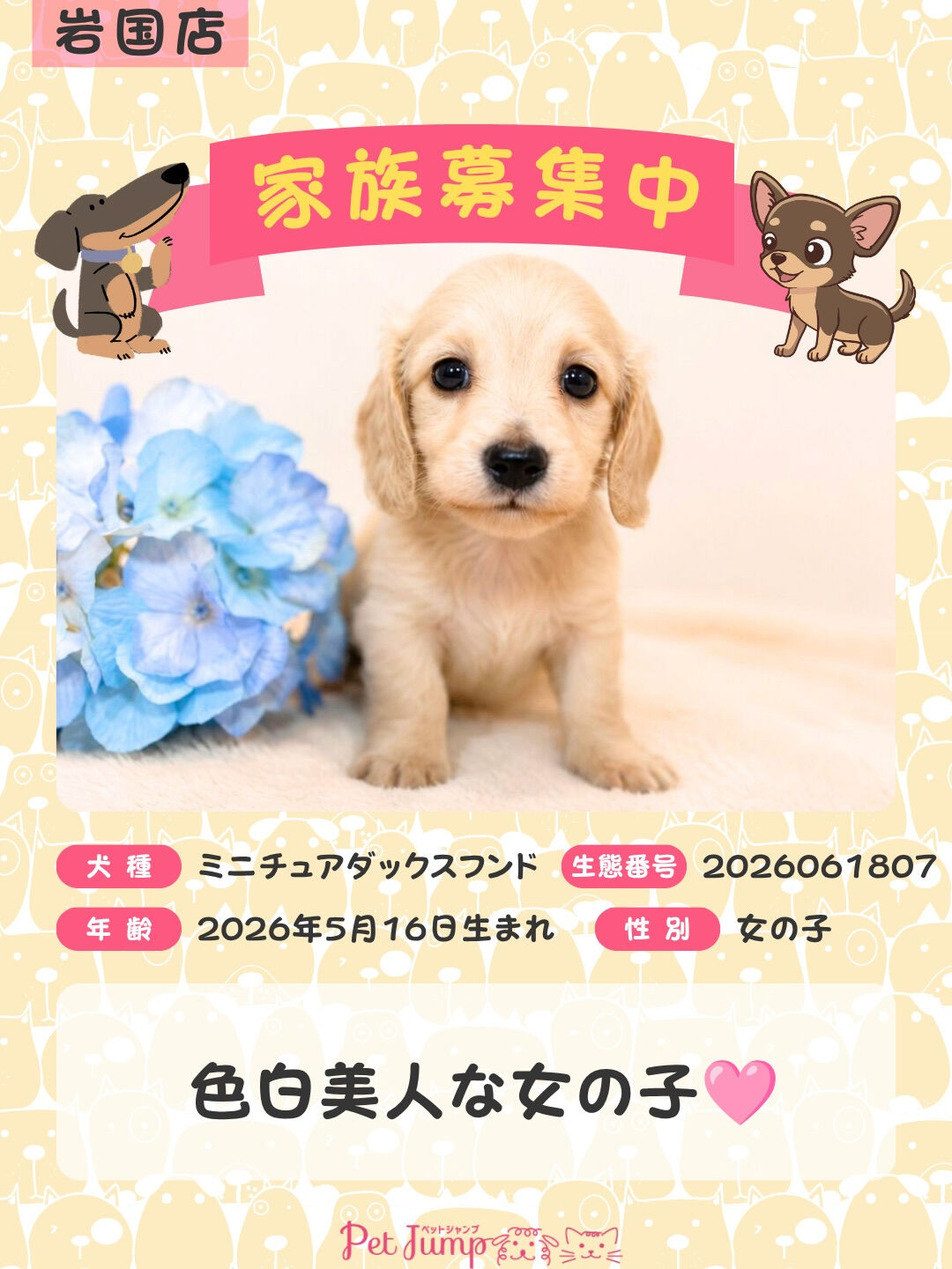 🐶💗 家族募集中 💗🐶