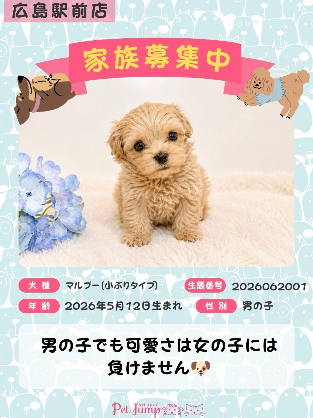 🐶💗 家族募集中 💗🐶