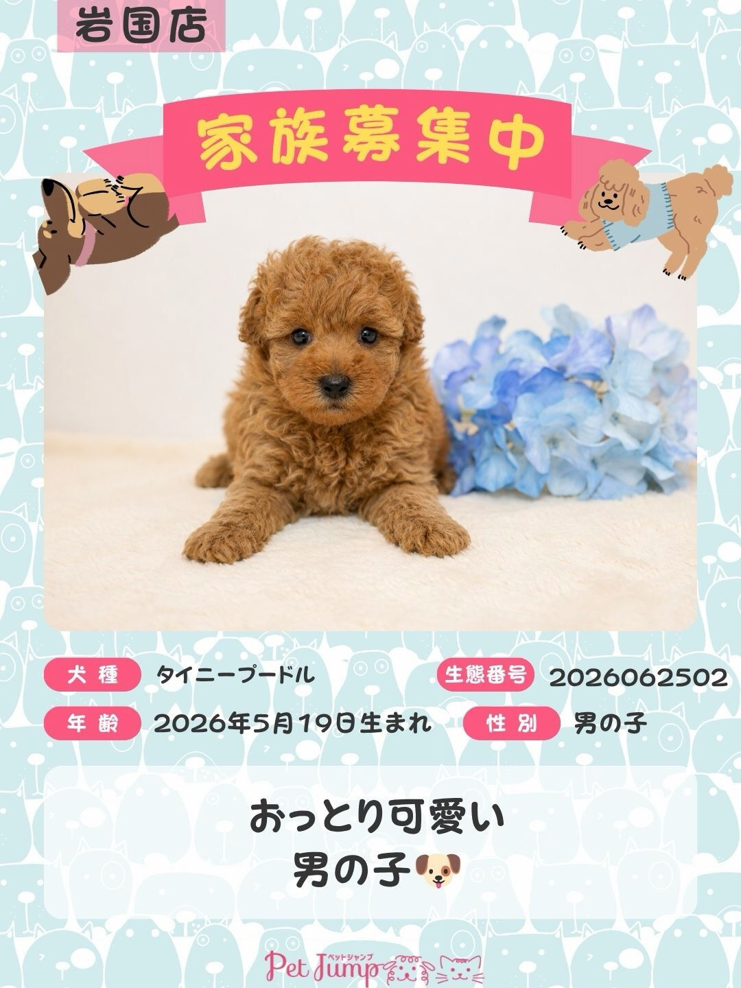 🐶💗 家族募集中 💗🐶