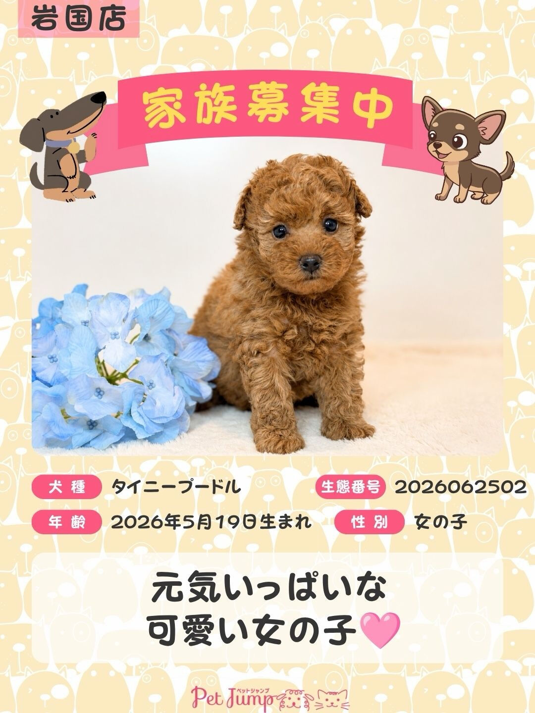 🐶💗 家族募集中 💗🐶