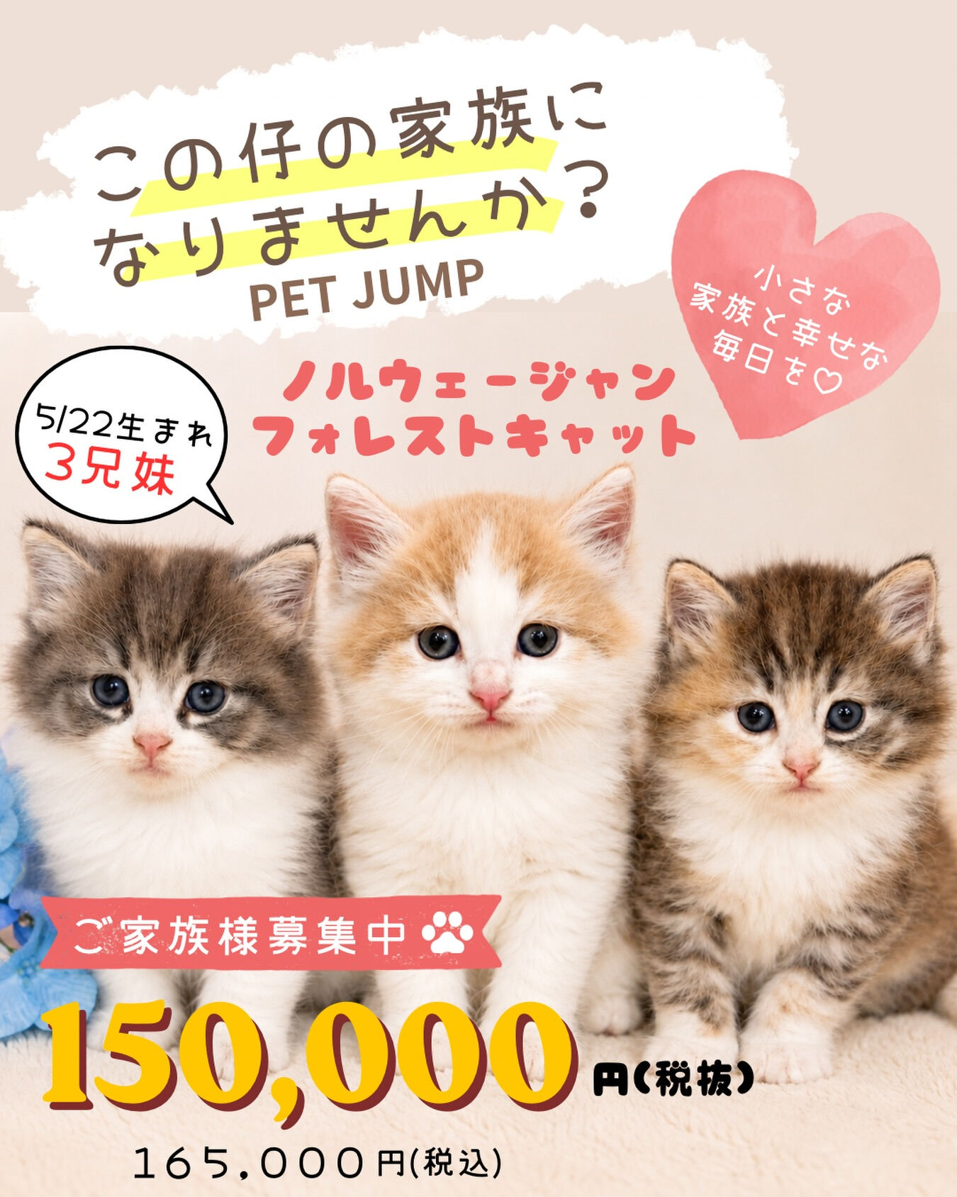 🐾PET JUMPで新しい家族を見つけませんか？🐾