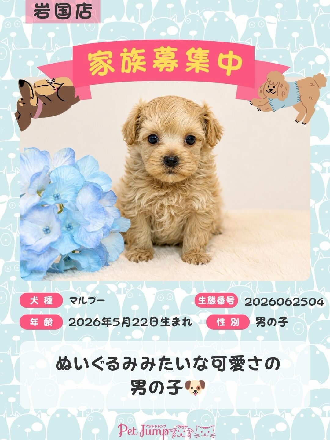 🐶💗 家族募集中 💗🐶