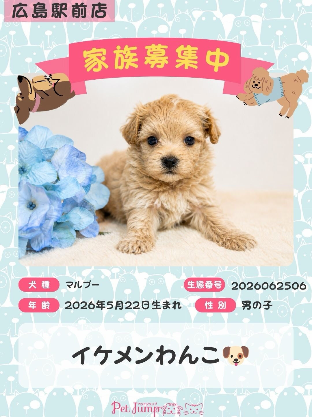 🐶💗 家族募集中 💗🐶