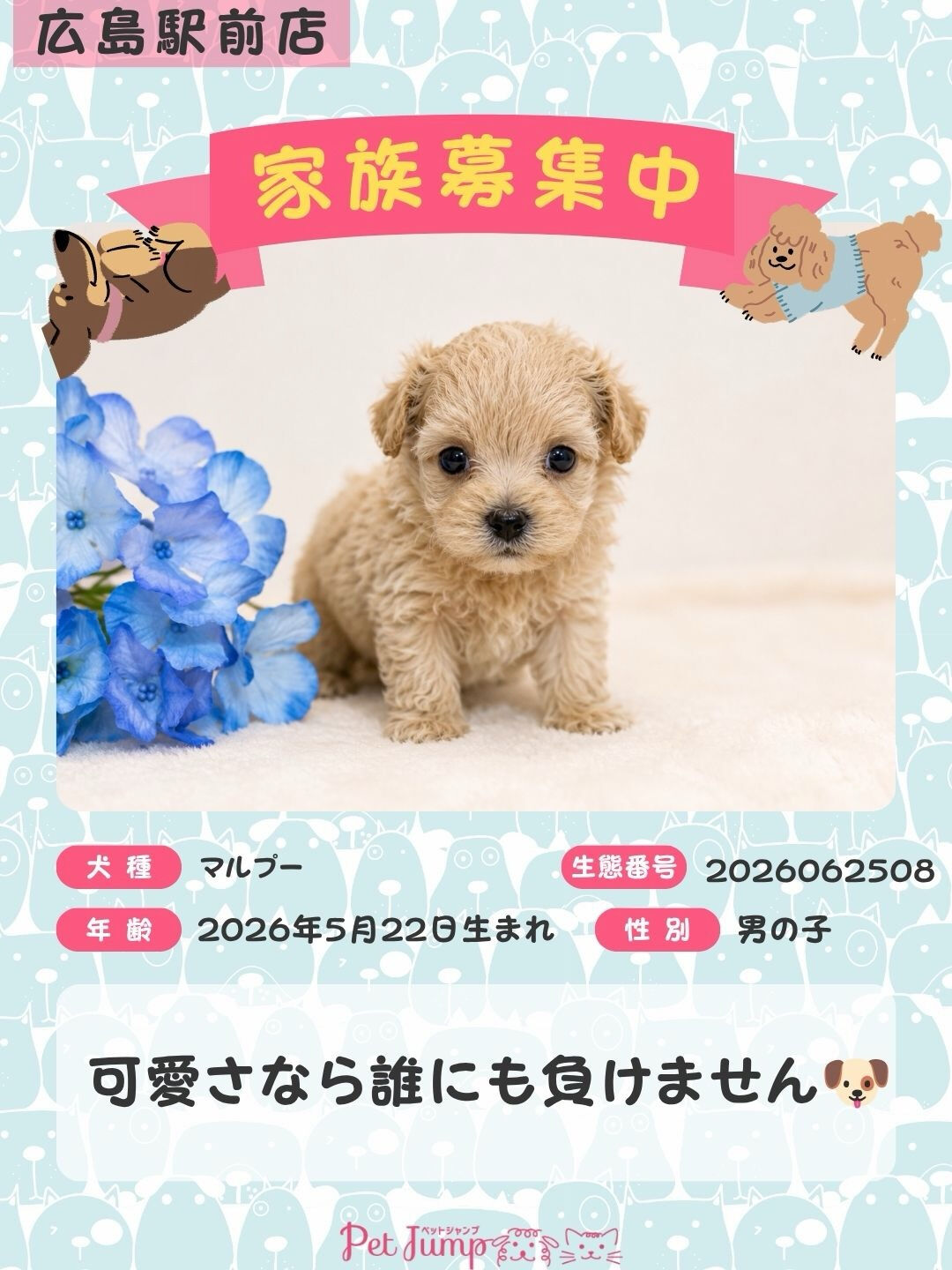 🐶💗 家族募集中 💗🐶
