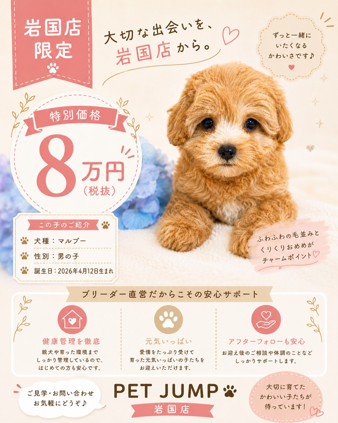 🤍【岩国店限定】特別価格🤍