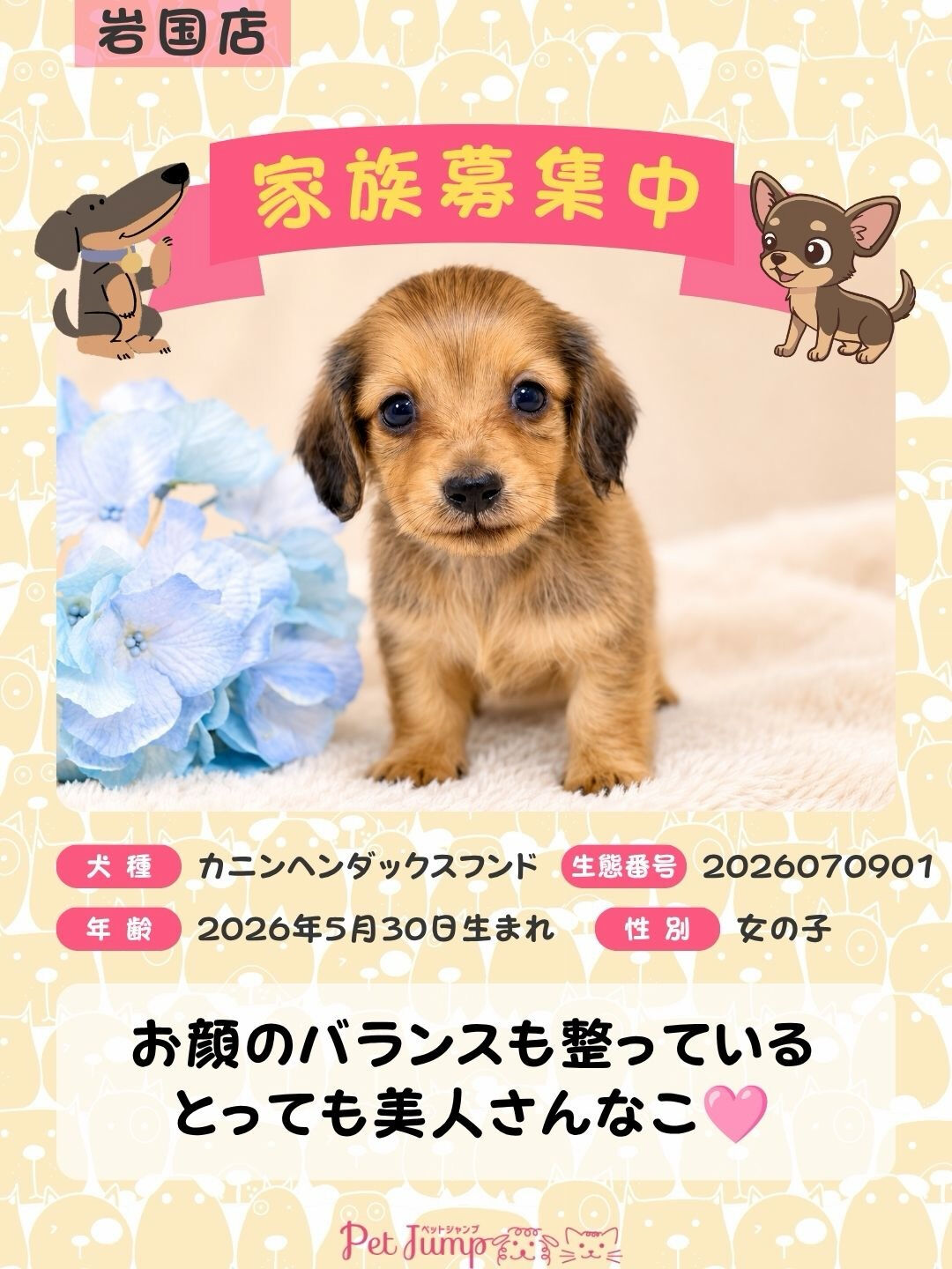 🐶💗 家族募集中 💗🐶