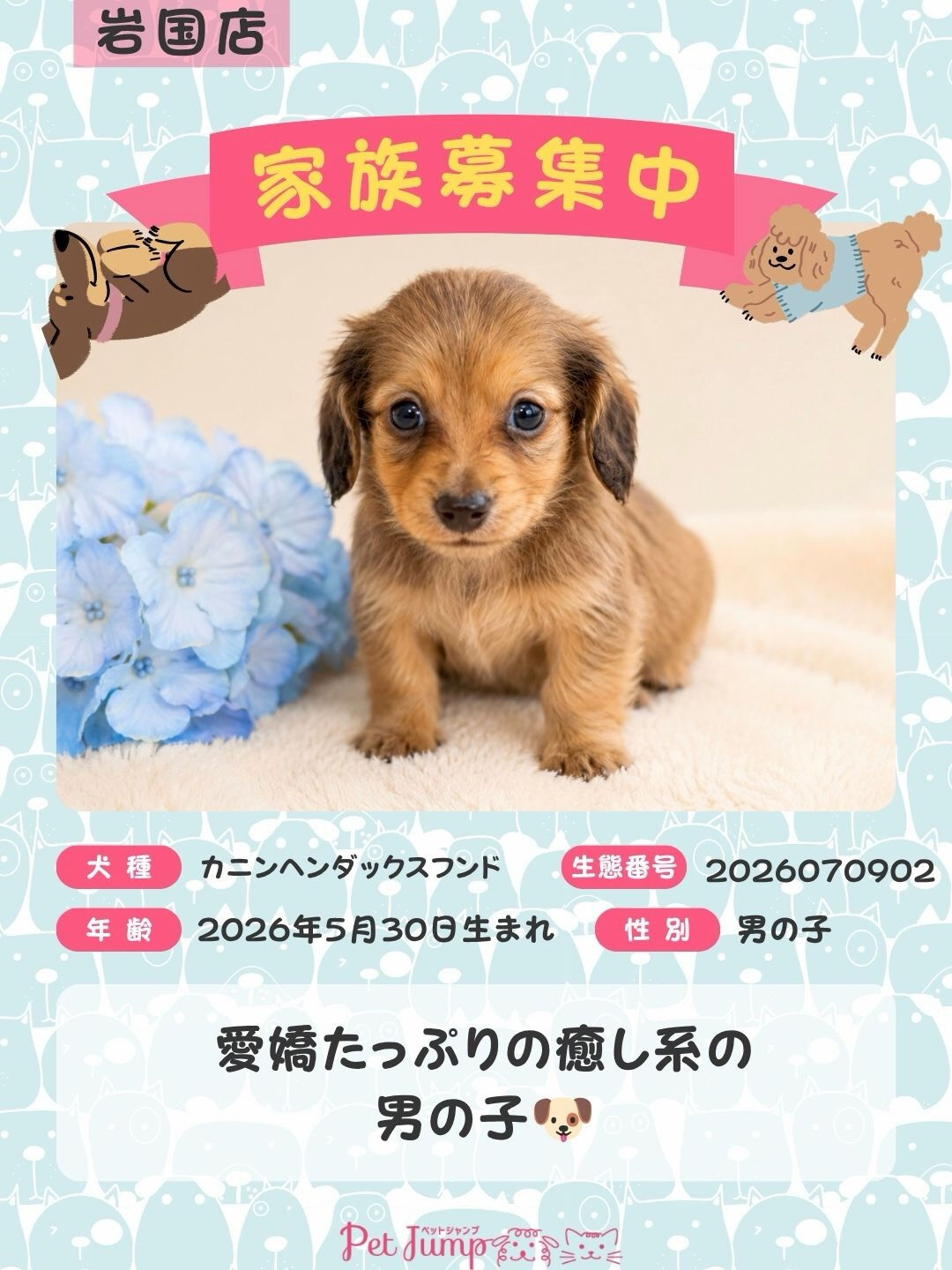 🐶💗 家族募集中 💗🐶