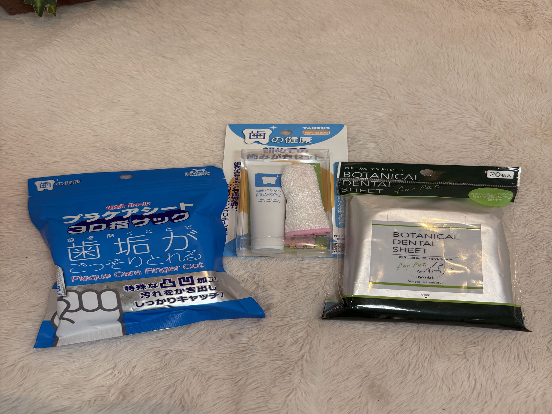 ブログ