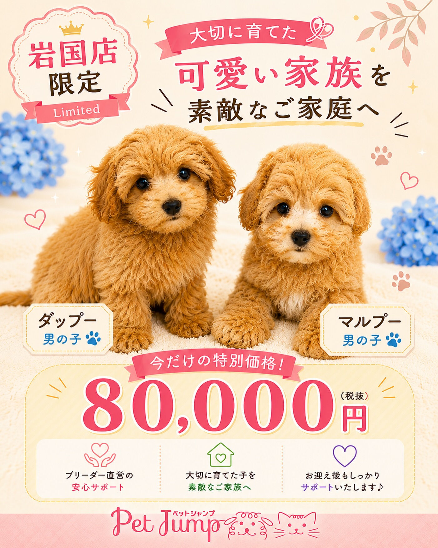 🐶💕 岩国店限定 特別価格💕