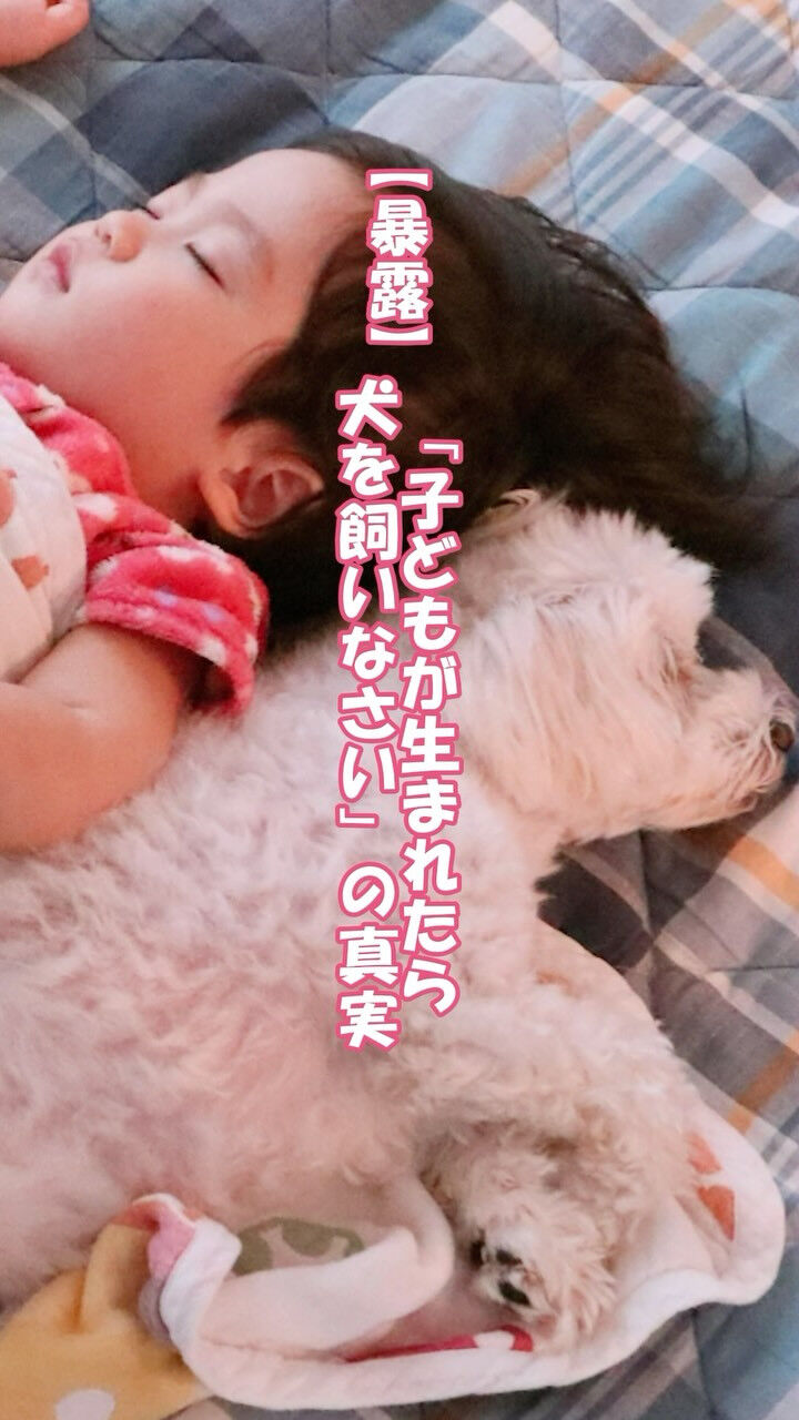 「子どもが生まれたら、犬を飼いなさい