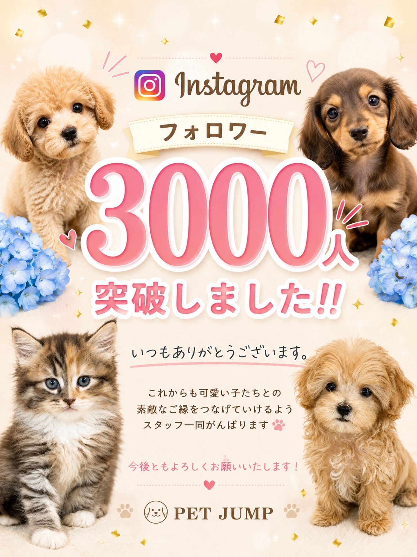 🎉✨ フォロワー3,000人突破✨🎉