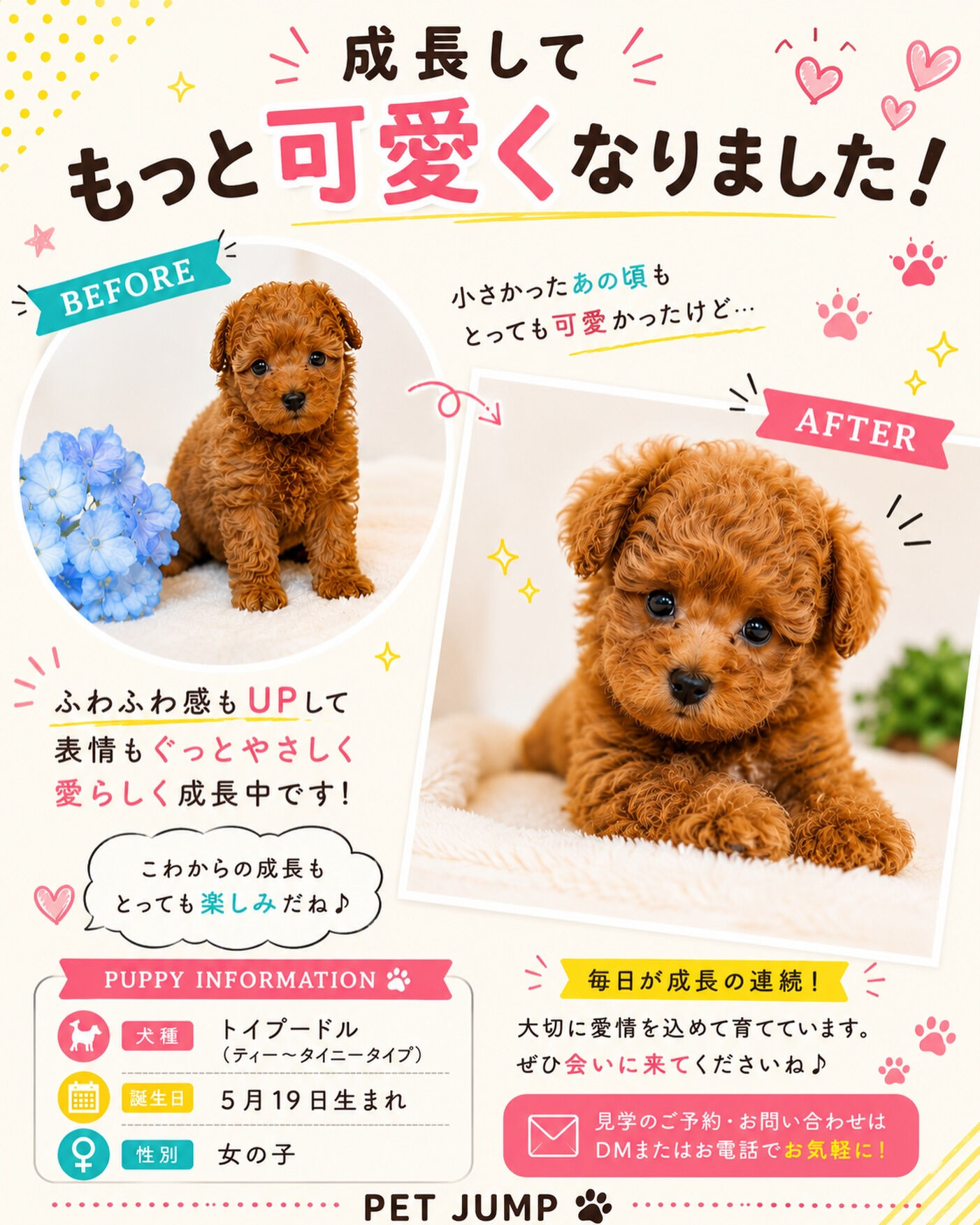✨**小さかったあの頃も、今も、どっちも可愛い