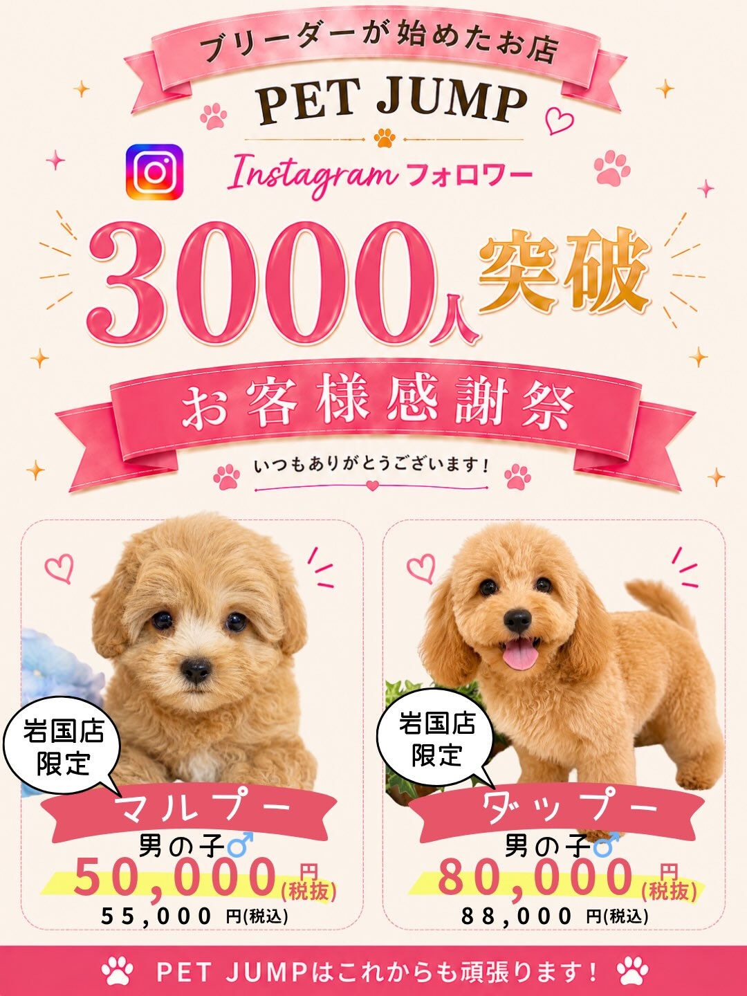 いつもPET JUMPをご利用いただき、本当にありがとうござ