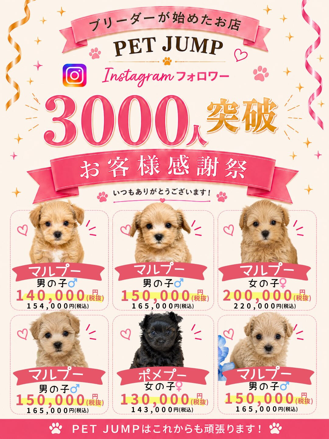いつもPET JUMPをご利用いただき、本当にありがとうござ