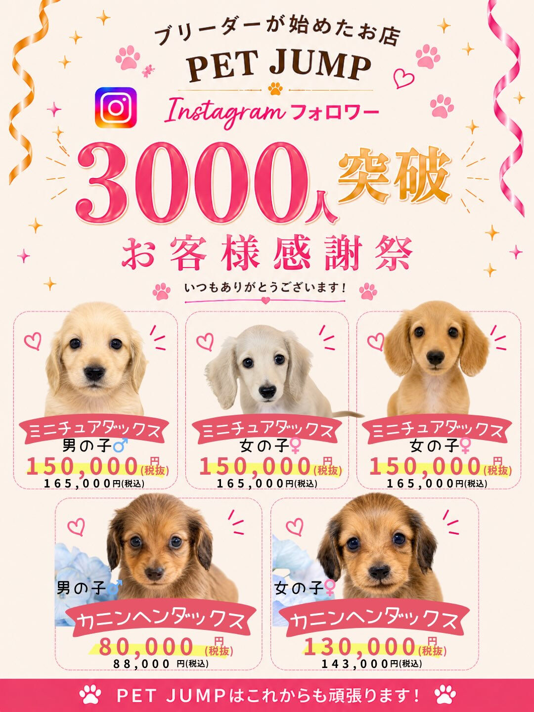 いつもPET JUMPをご利用いただき、本当にありがとうござ