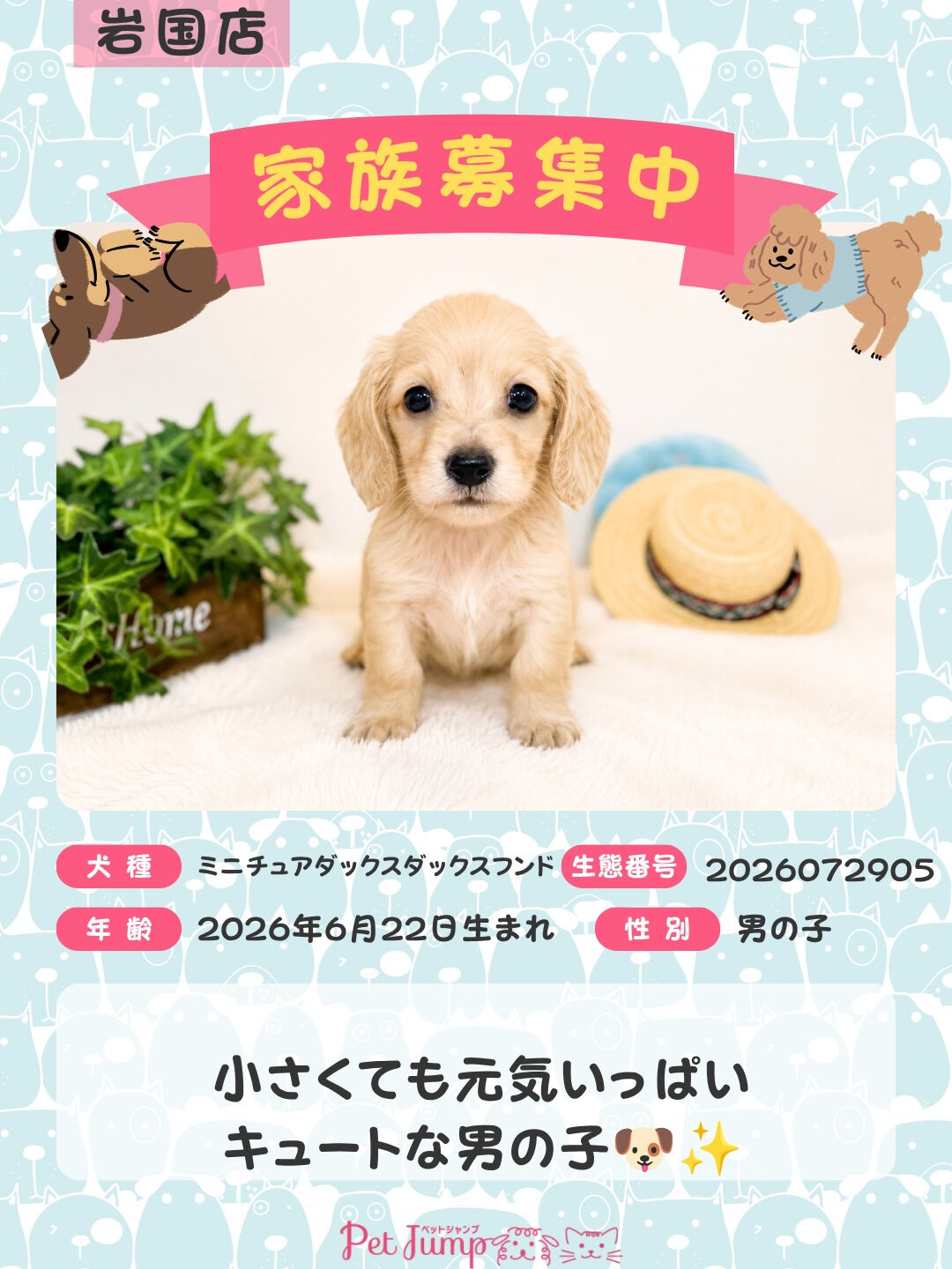 🐶💗 家族募集中 💗🐶