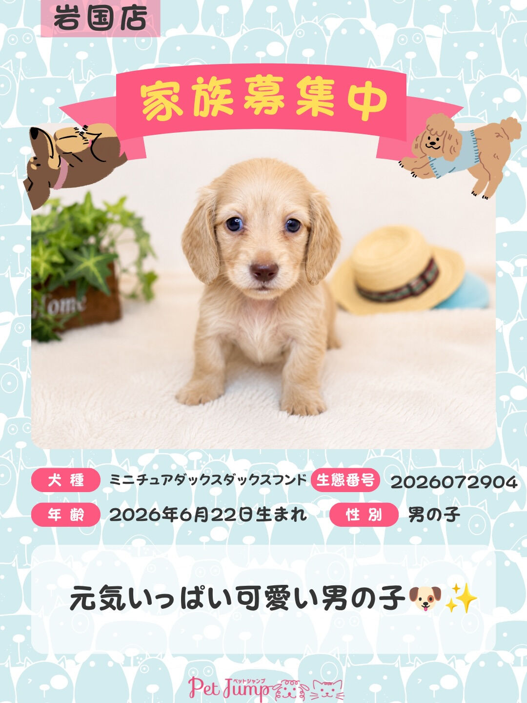 🐶💗 家族募集中 💗🐶