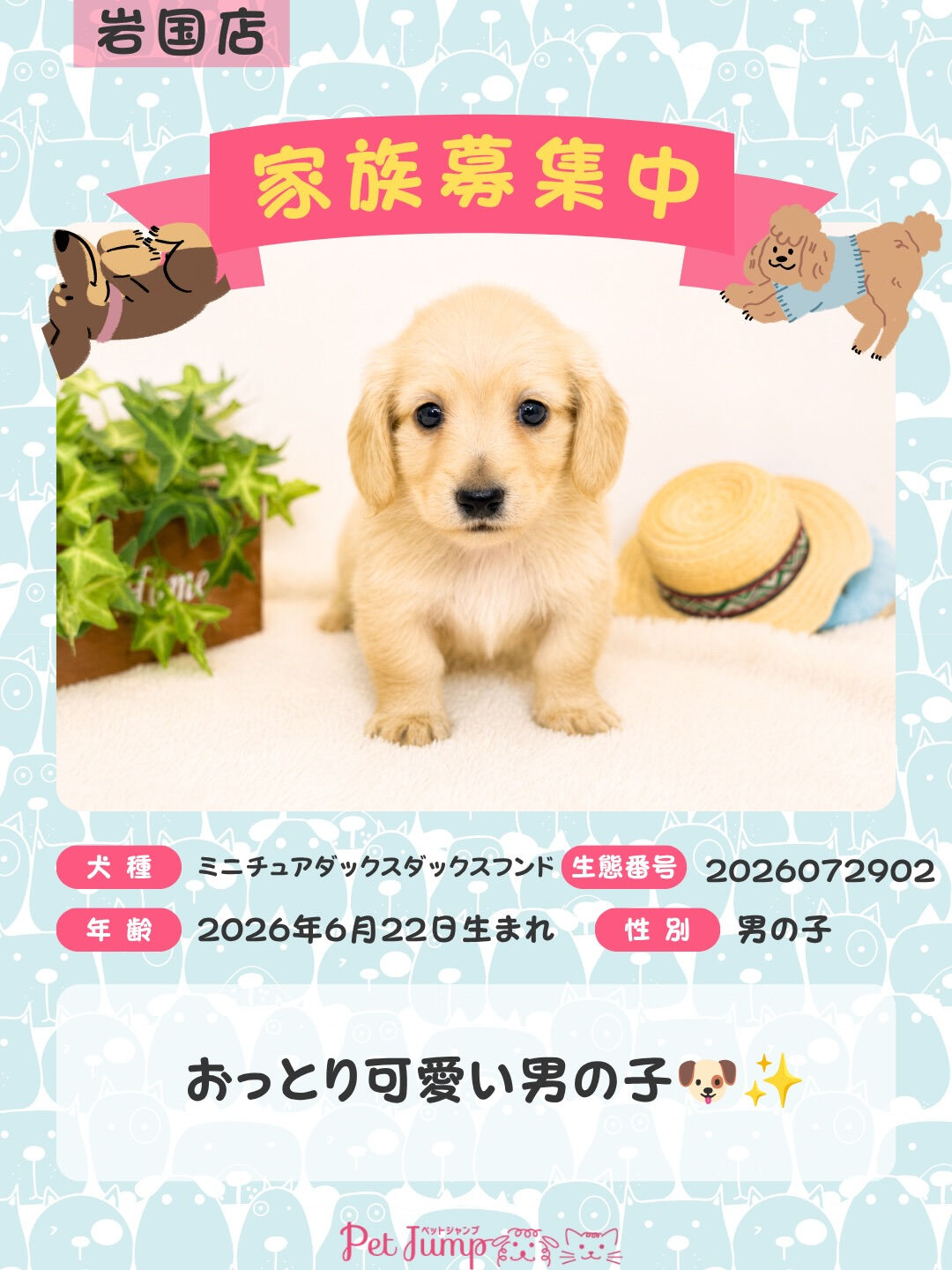 🐶💗 家族募集中 💗🐶