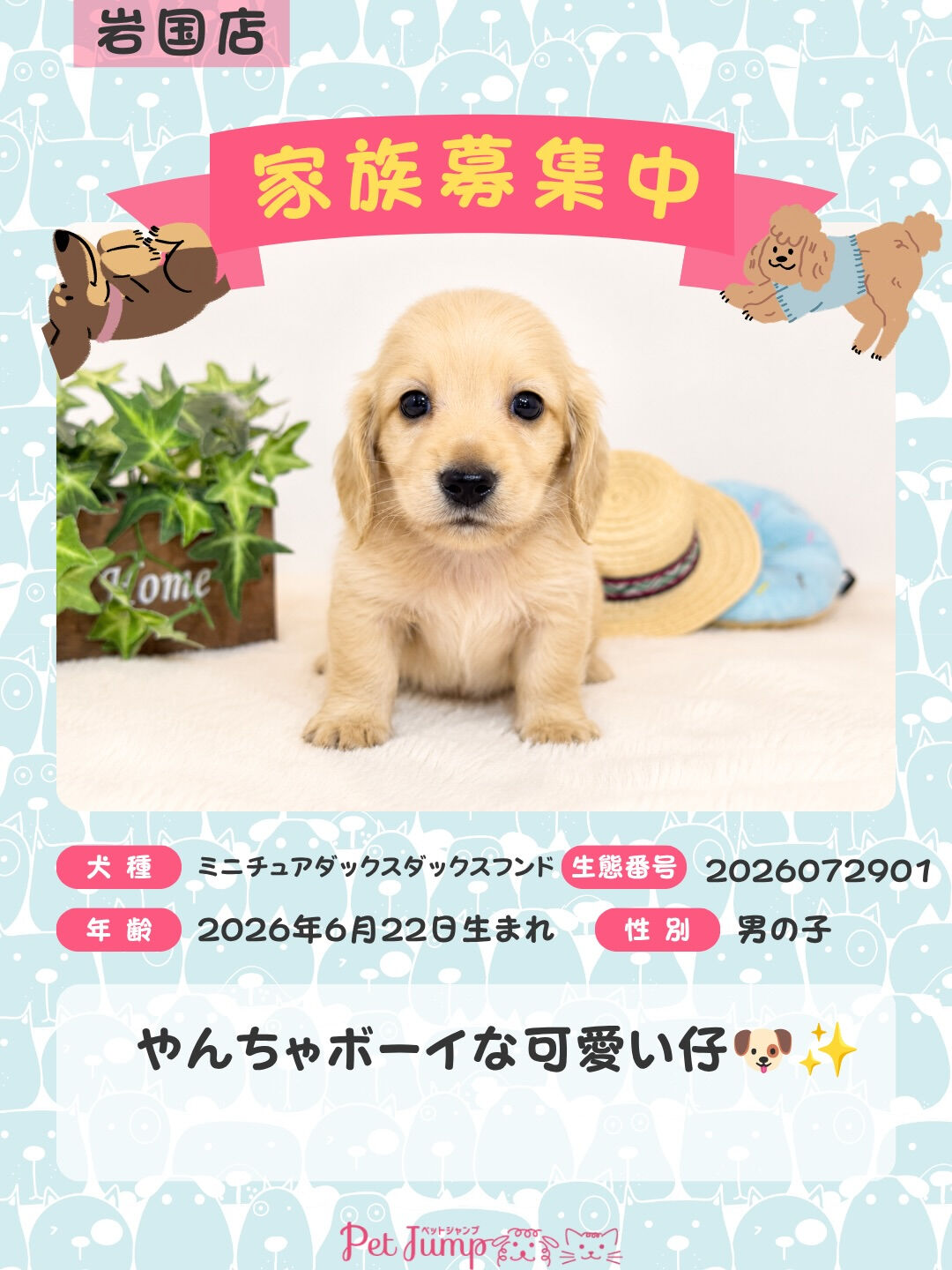 🐶💗 家族募集中 💗🐶