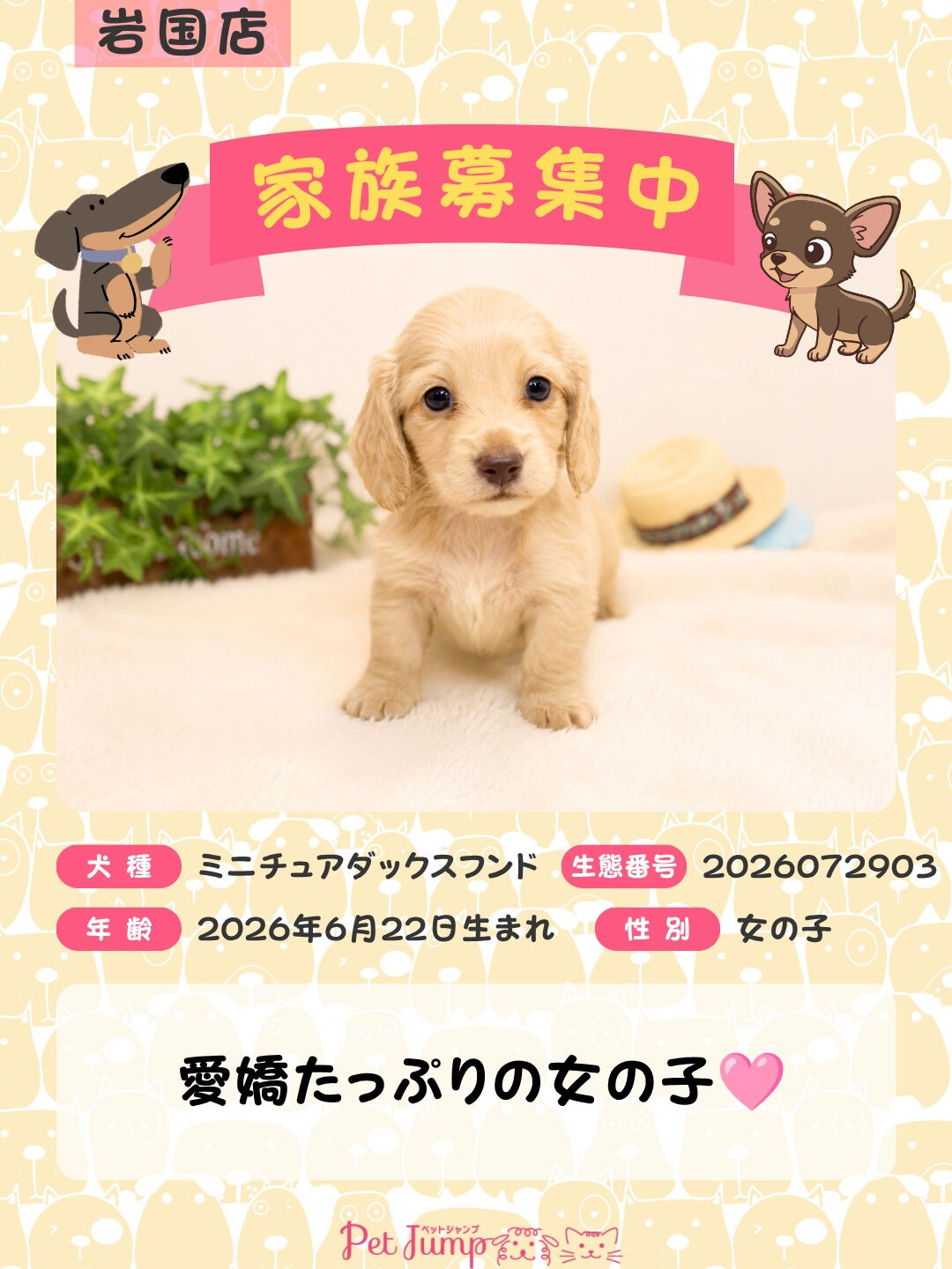 🐶💗 家族募集中 💗🐶