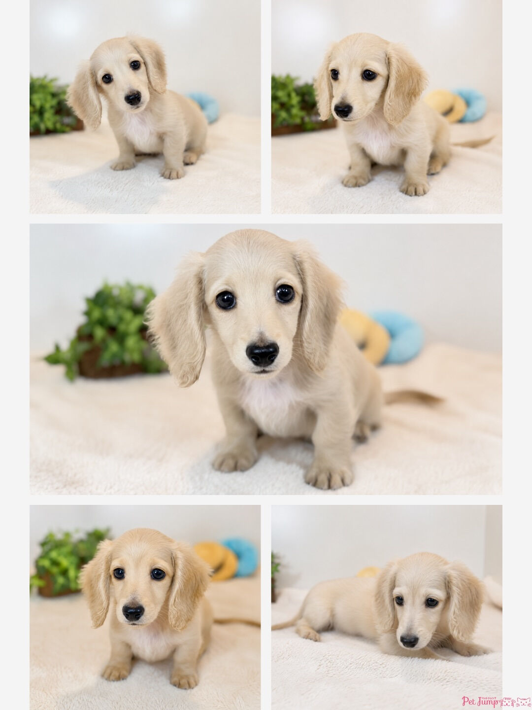 multi_image