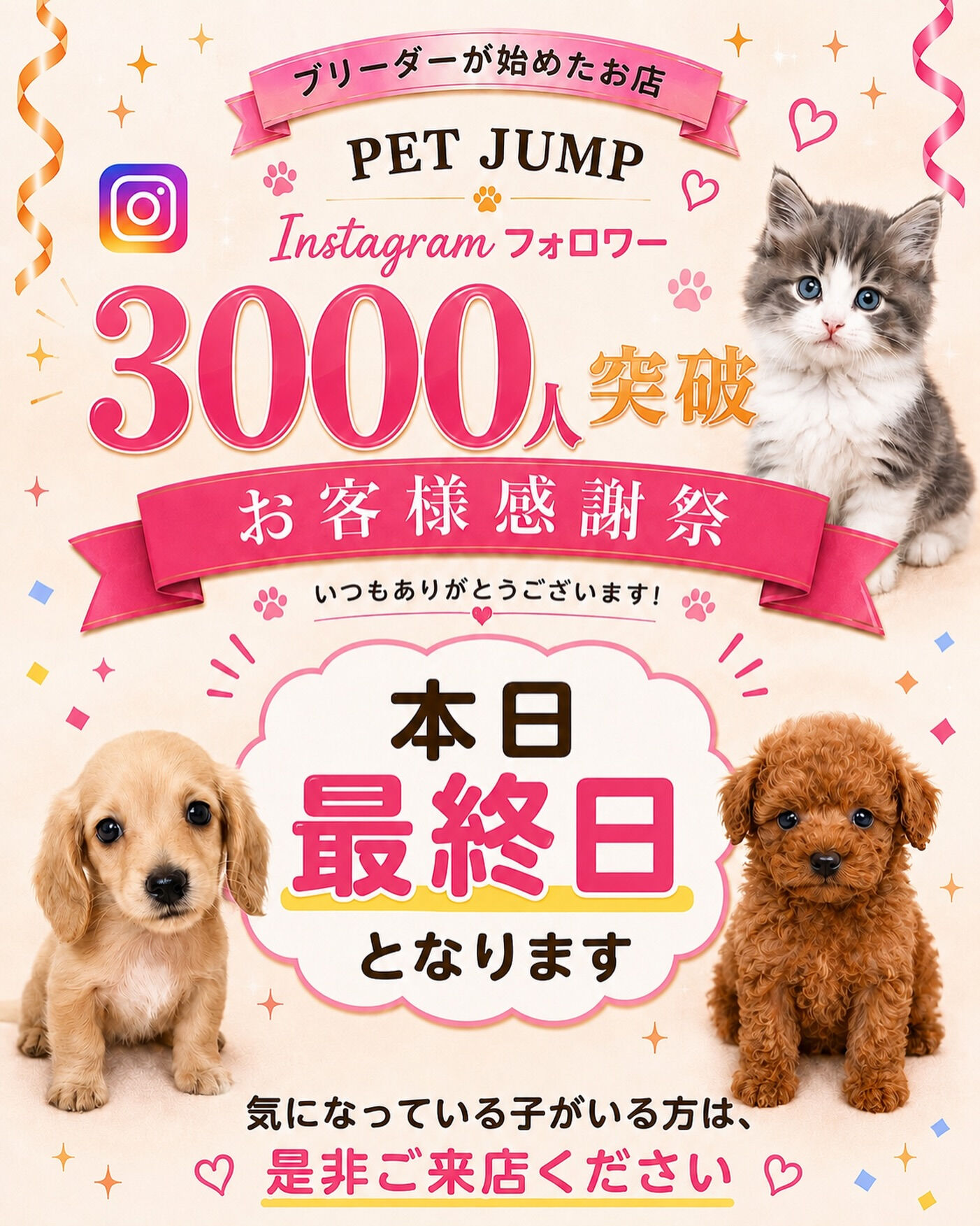 🎉 Instagramフォロワー3,000人突破記念！