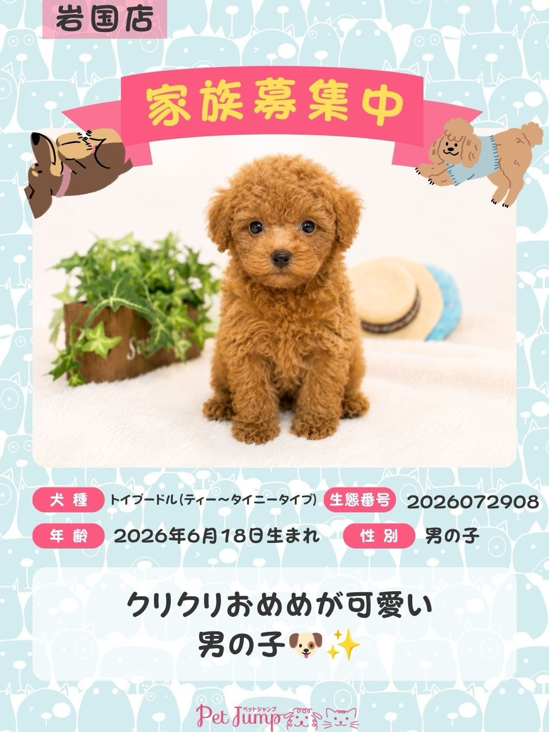 🐶💗 家族募集中 💗🐶