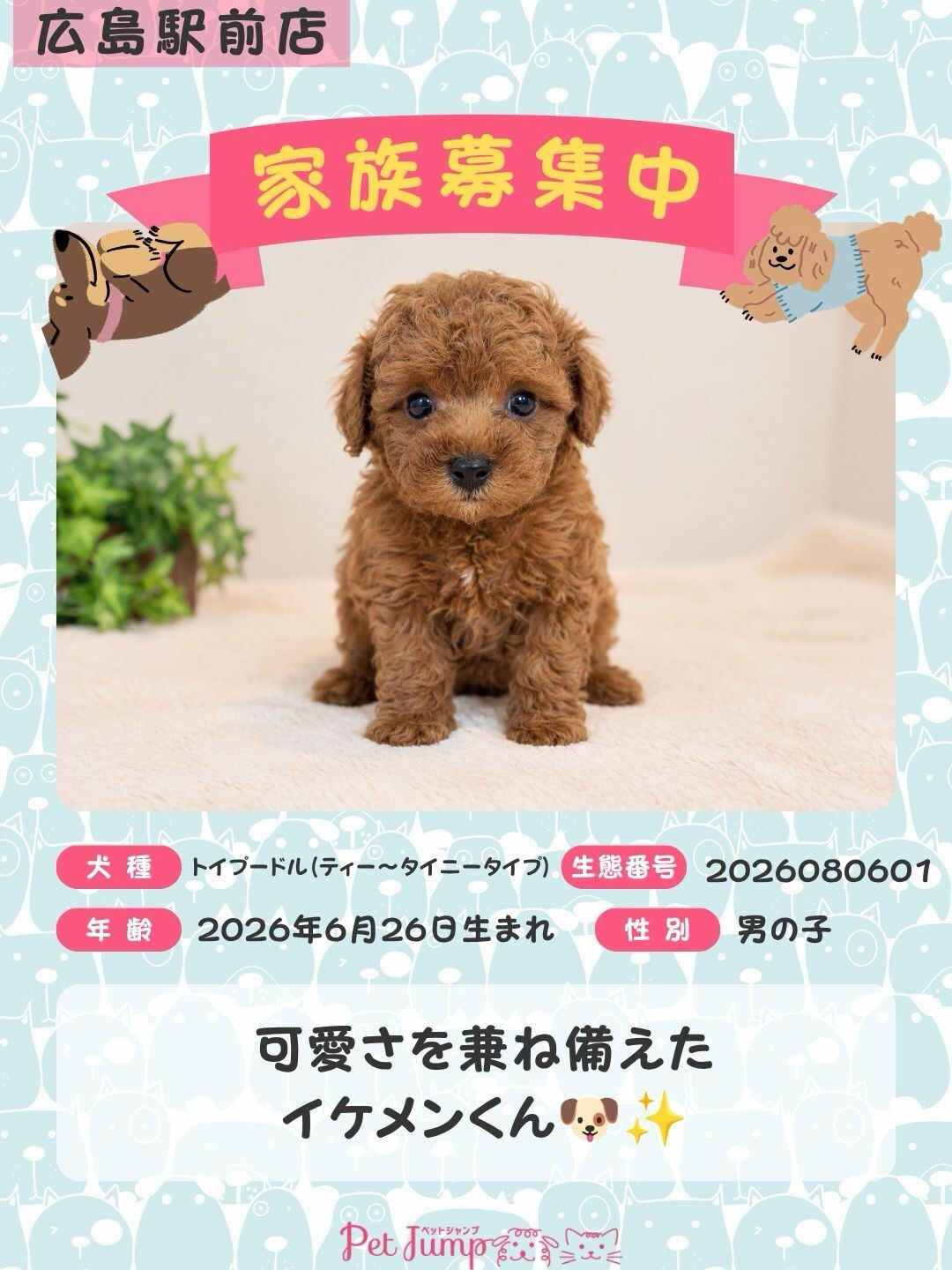 🐶💗 家族募集中 💗🐶