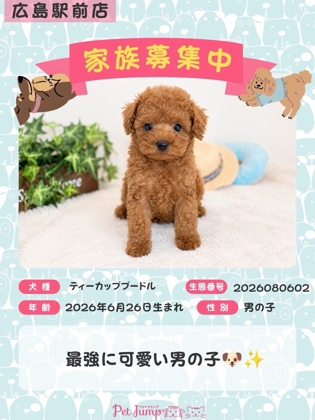 🐶💗 家族募集中 💗🐶