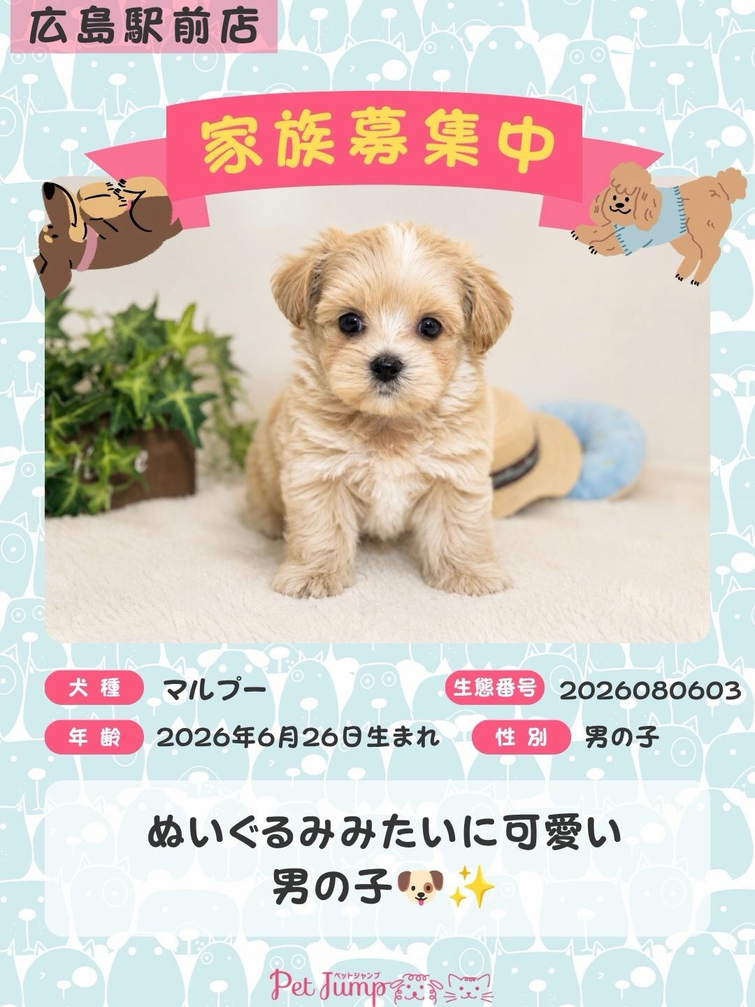 🐶💗 家族募集中 💗🐶
