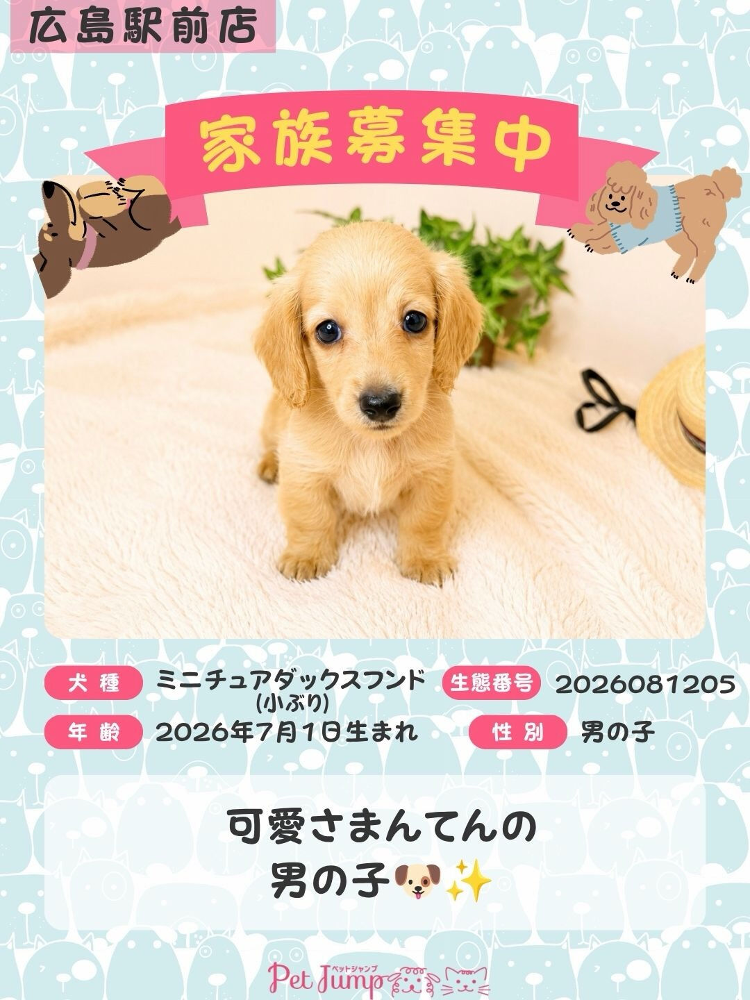 🐶💗 家族募集中 💗🐶