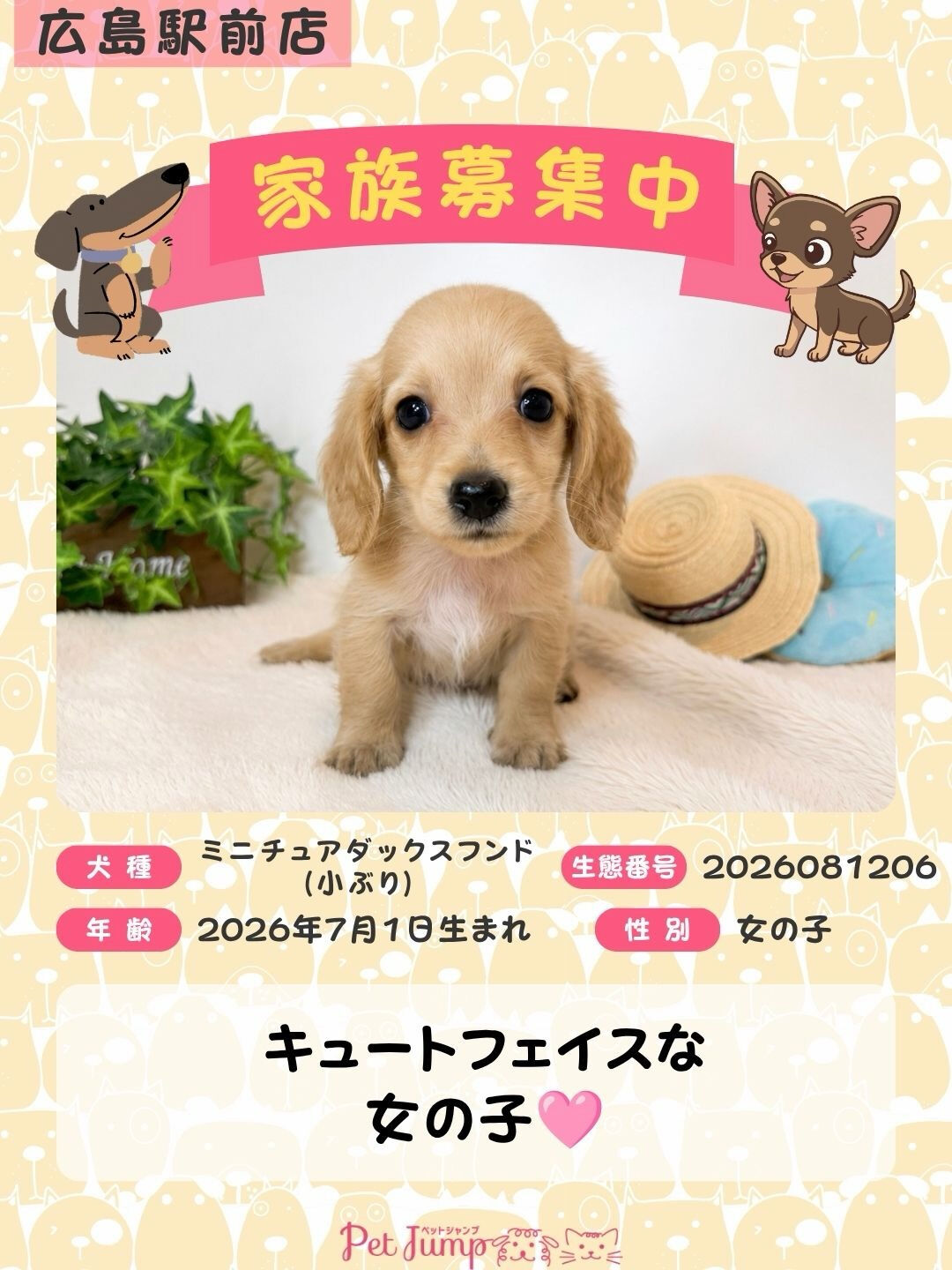 🐶💗 家族募集中 💗🐶